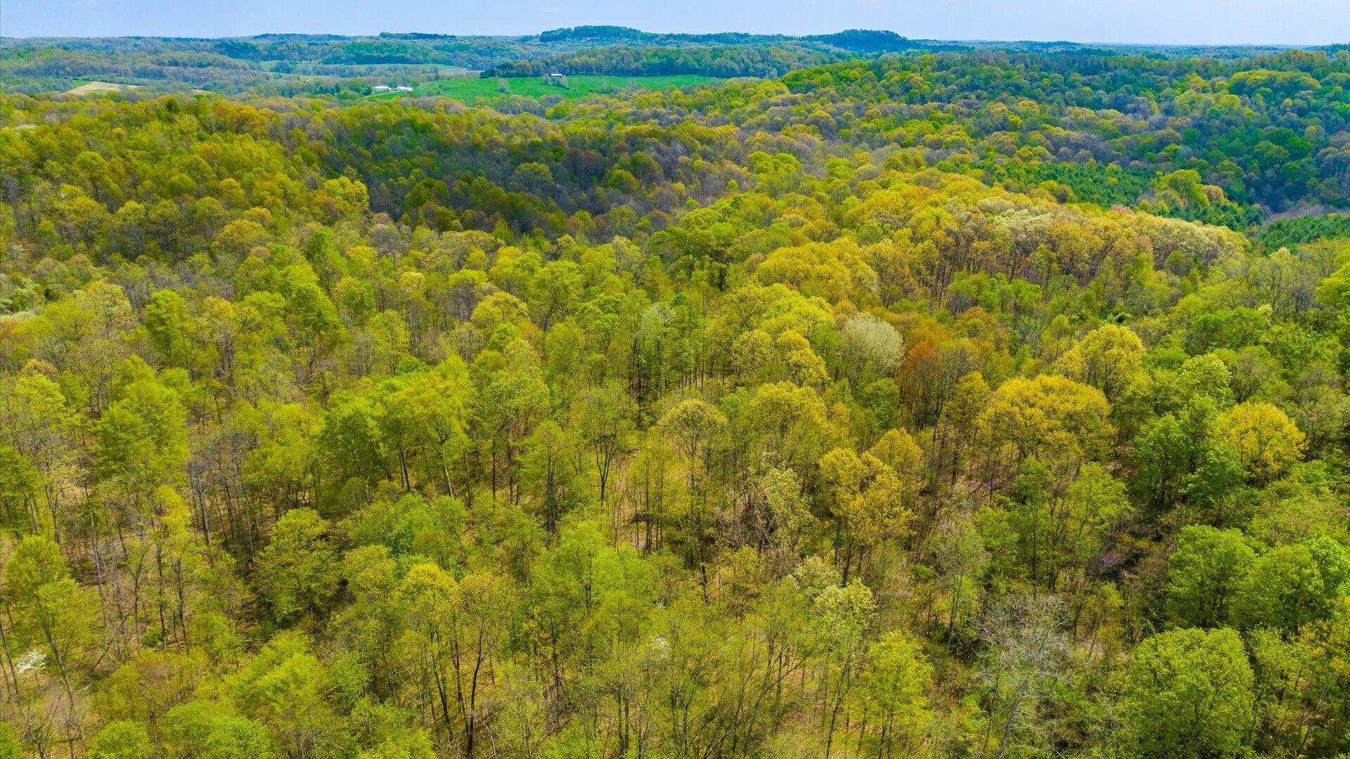 S Leedom Road, Chandlersville, Ohio image 22