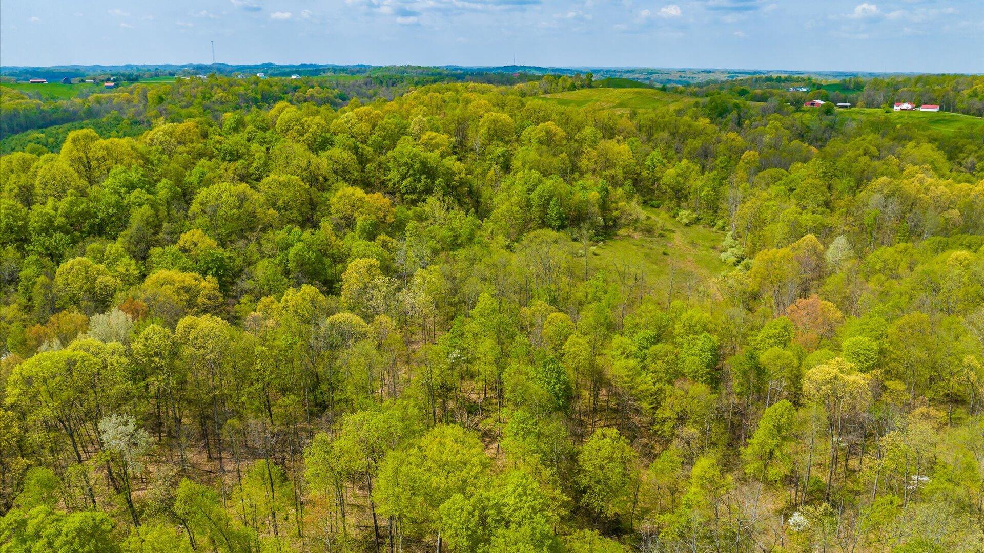 S Leedom Road, Chandlersville, Ohio image 18