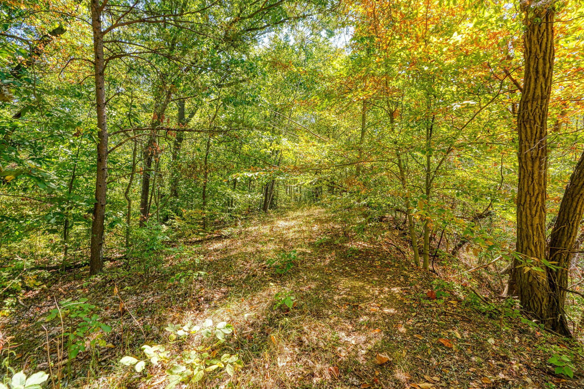 Clay Hill Road, Logan, Ohio image 4