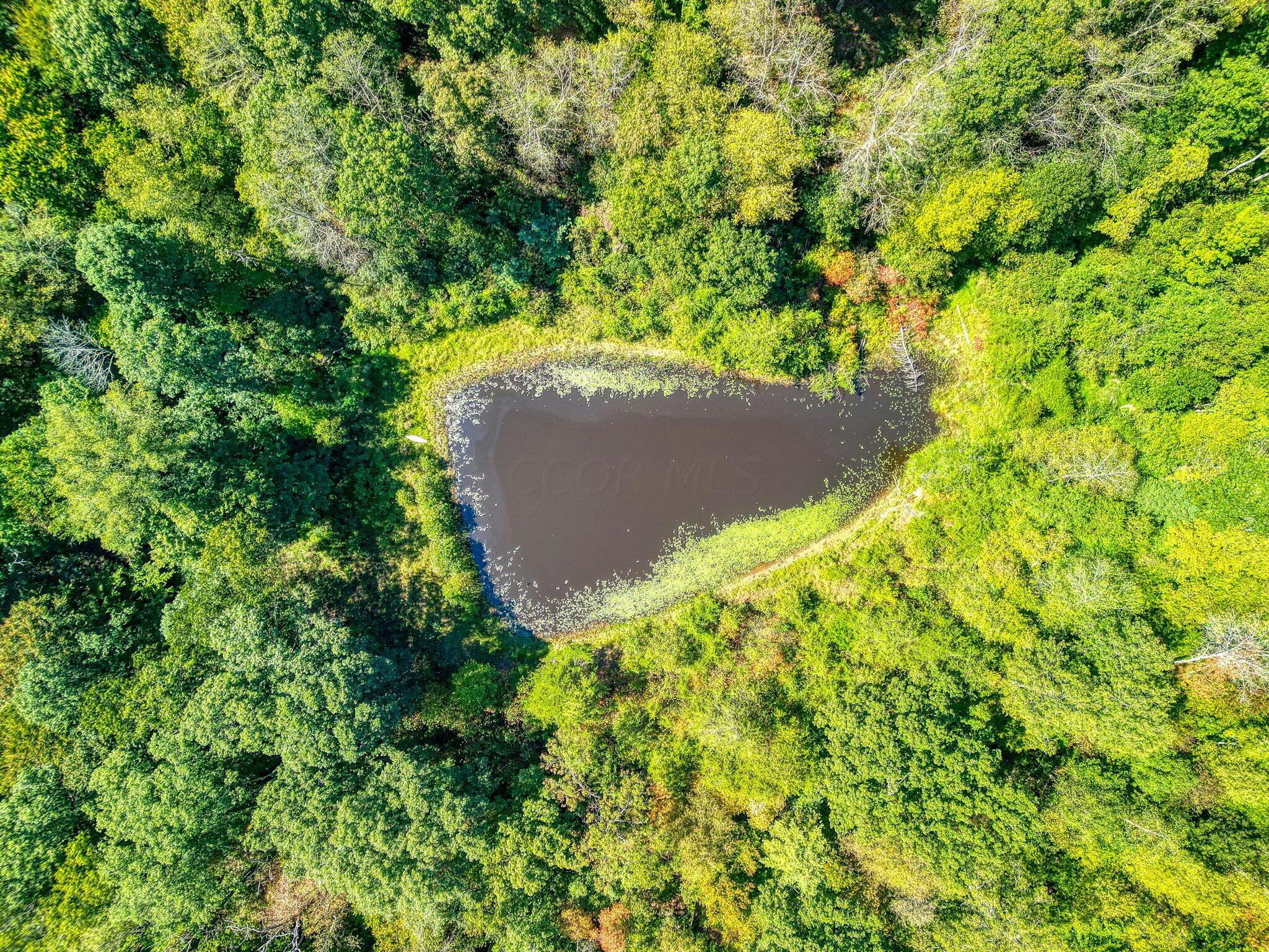 Clay Hill Road, Logan, Ohio image 9