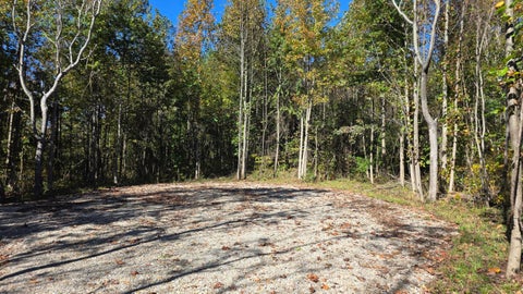 Photo of 5093 Township Road 162 NE (Lot 7 at Clover Hill) #(Lot 7 at Clover Hil, New Lexington, OH 43764 (MLS # 226041335)