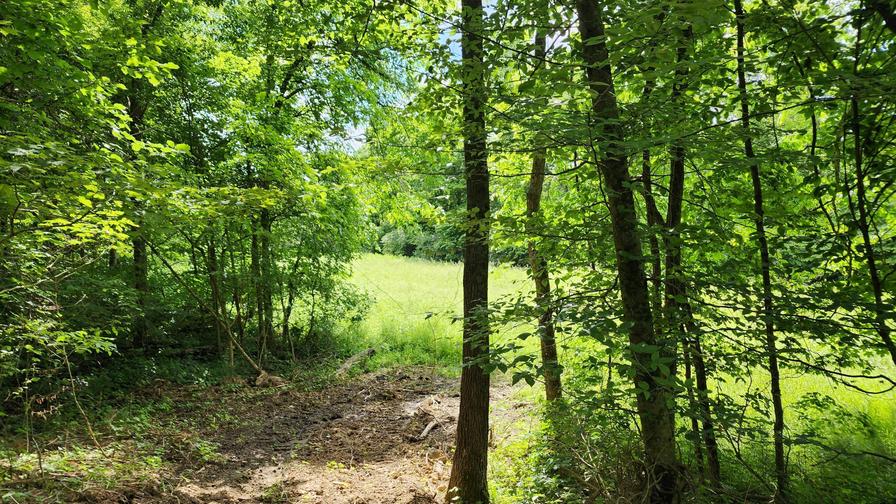 Pounds Road #TRACT 2 POUNDS ROAD, Glouster, Ohio image 35