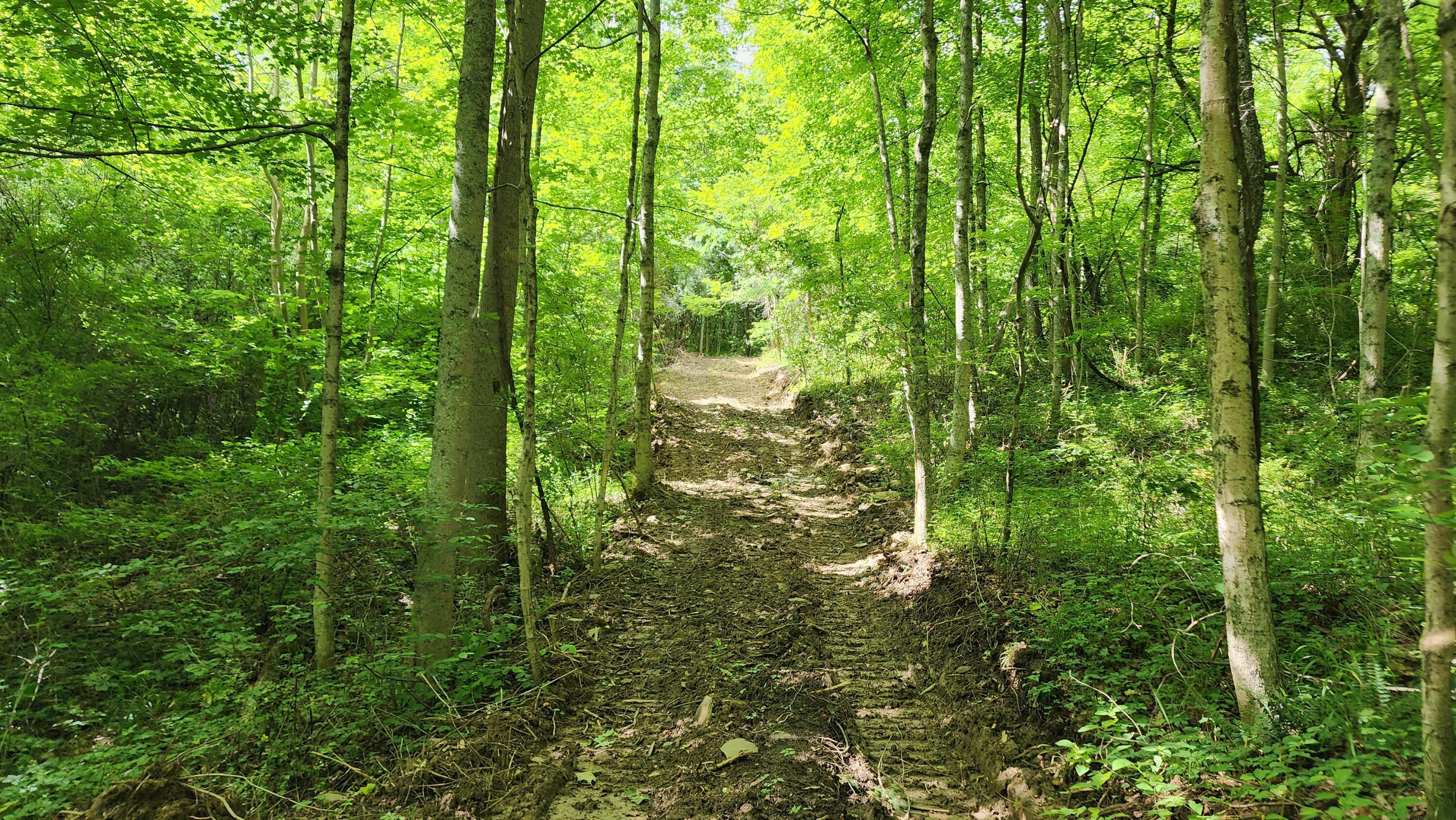 Pounds Road #TRACT 2 POUNDS ROAD, Glouster, Ohio image 3