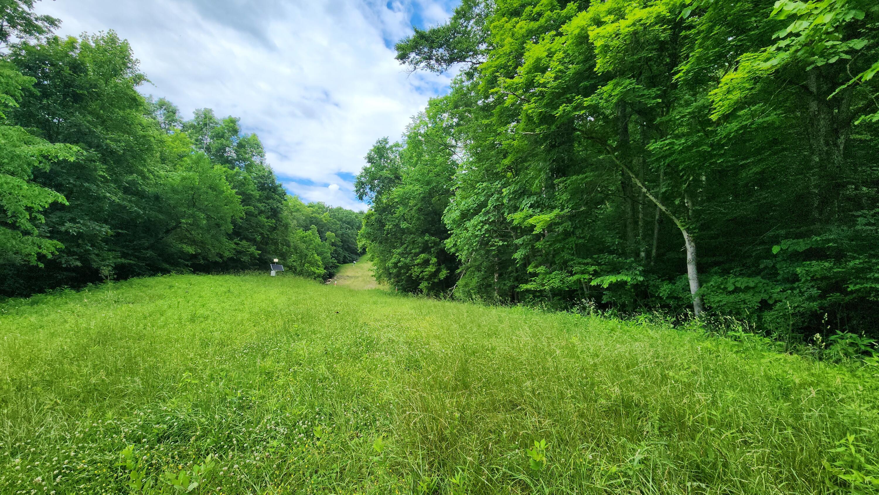 Pounds Road #TRACT 2 POUNDS ROAD, Glouster, Ohio image 1