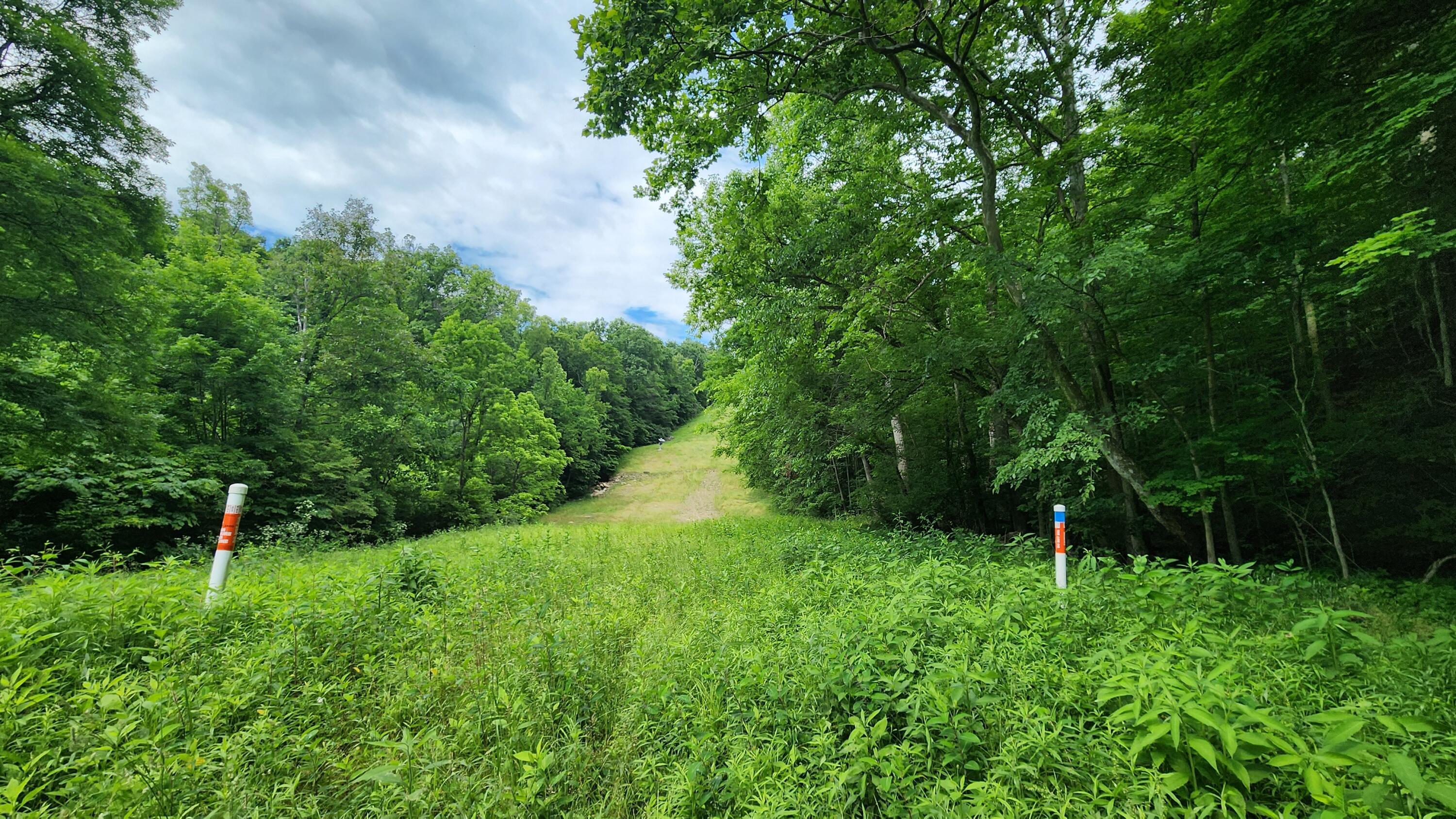 Pounds Road #TRACT 2 POUNDS ROAD, Glouster, Ohio image 45