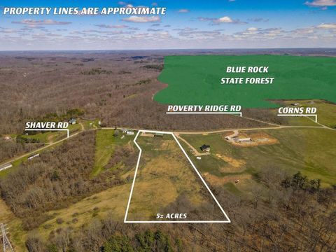 Vacant Land For Sale - 6880 Shaver Road<br/> Muskingum County, Blue Rock, OH 43720