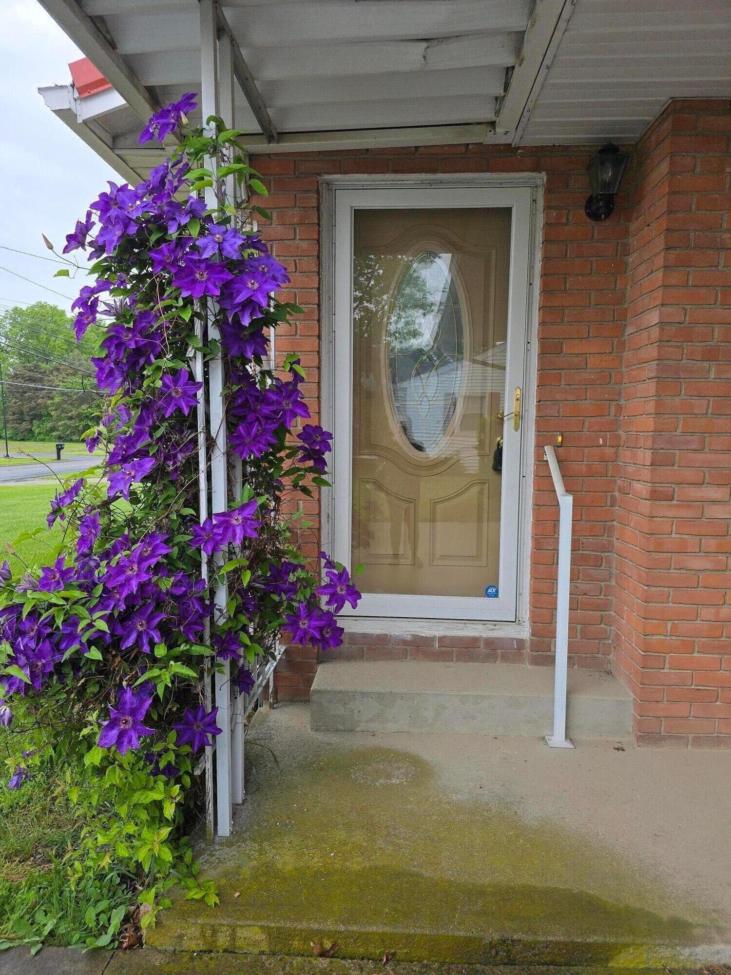 41 Mickey Rd Road, Shelby, Ohio image 3