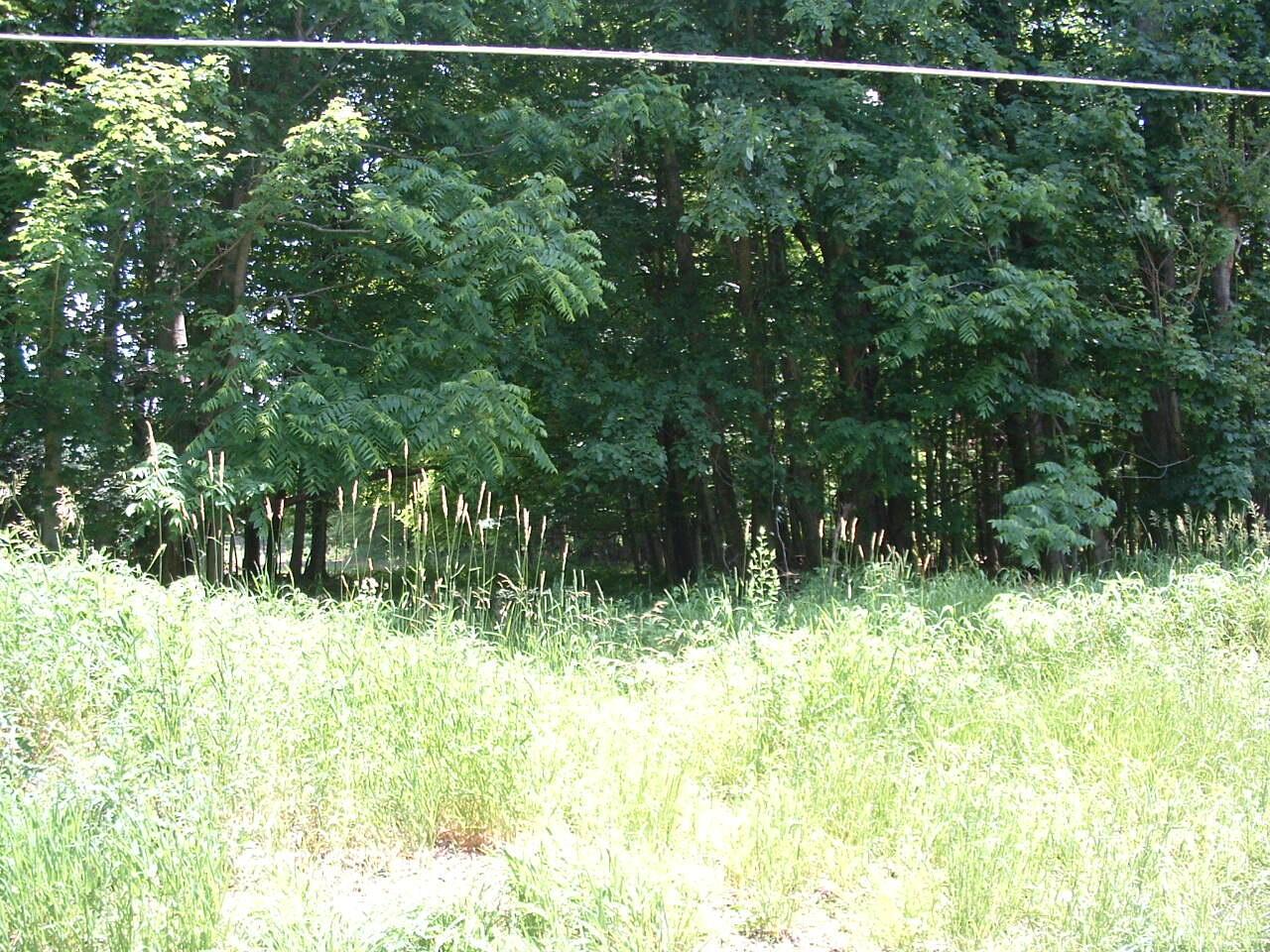 0 Clover Valley Road NW