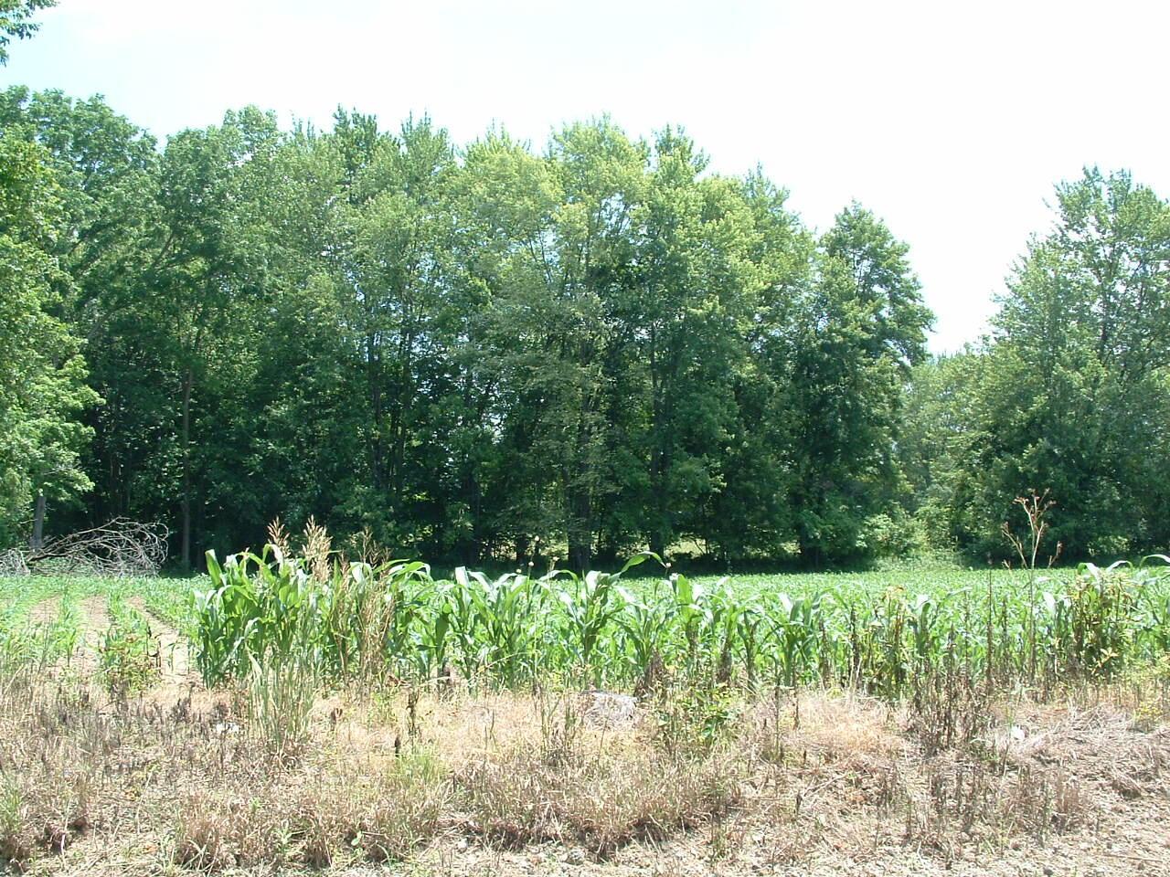 0 Clover Valley Road NW