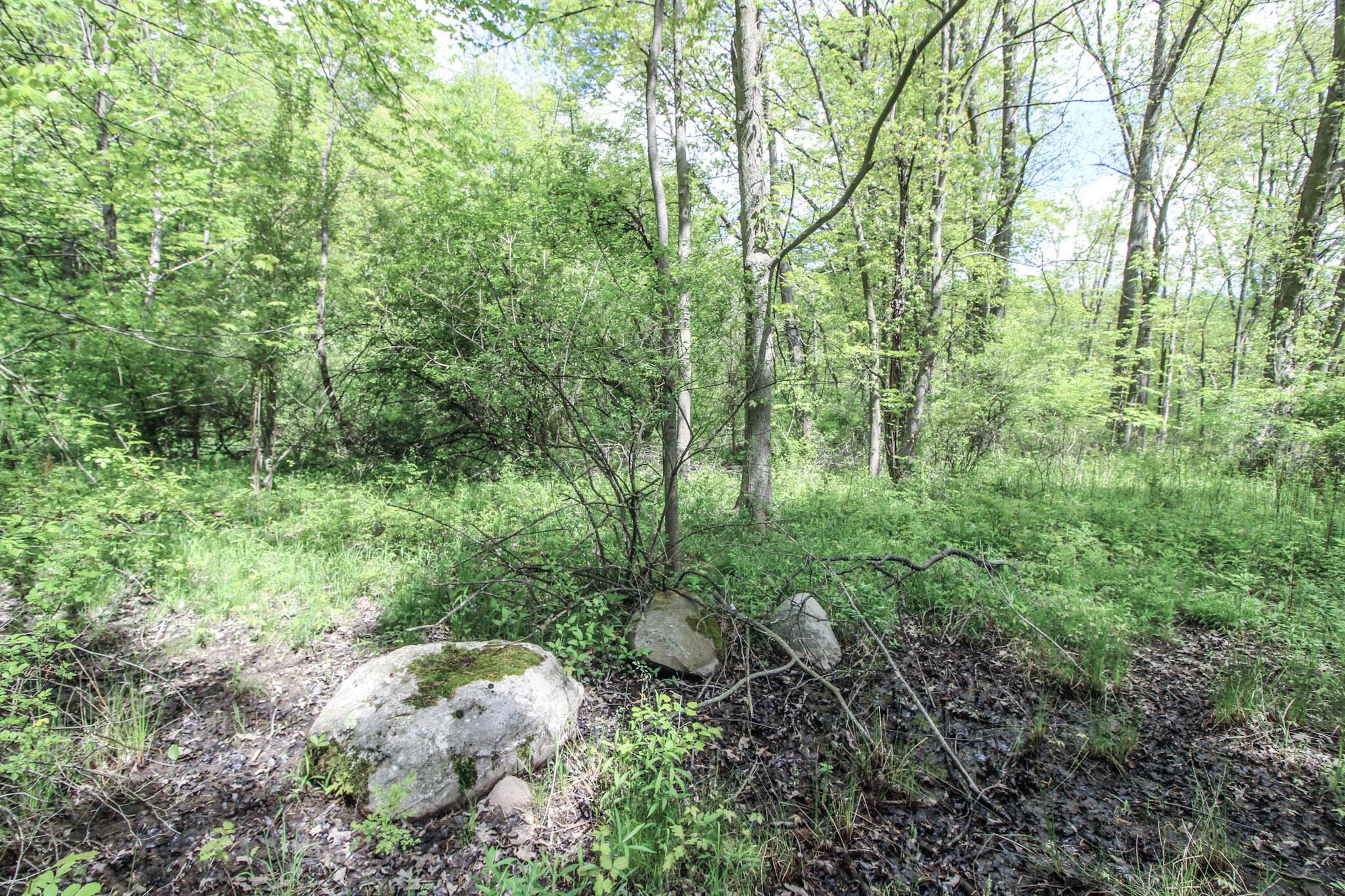 Norton Road, Hudson, Ohio image 21