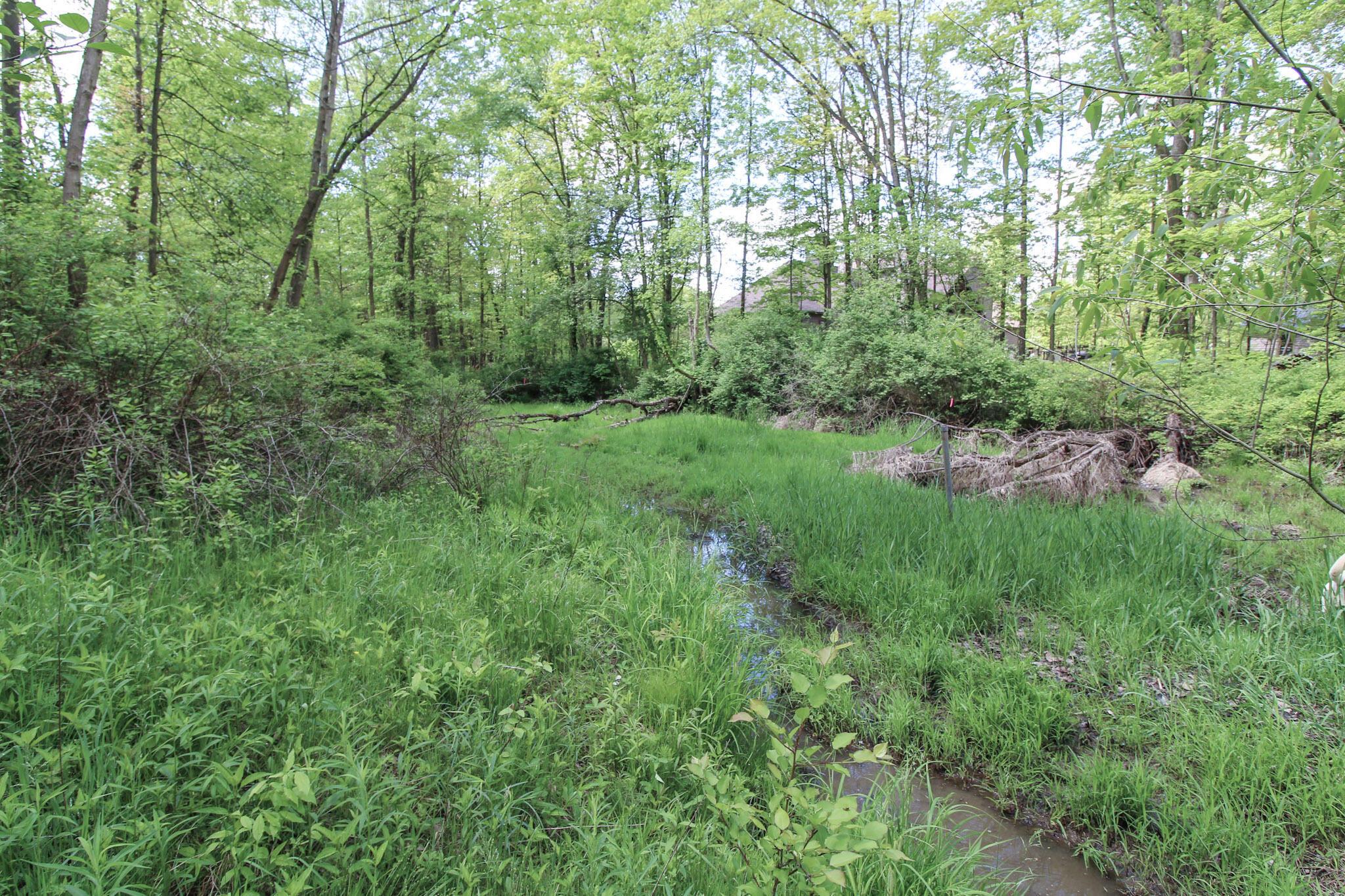 Norton Road, Hudson, Ohio image 14