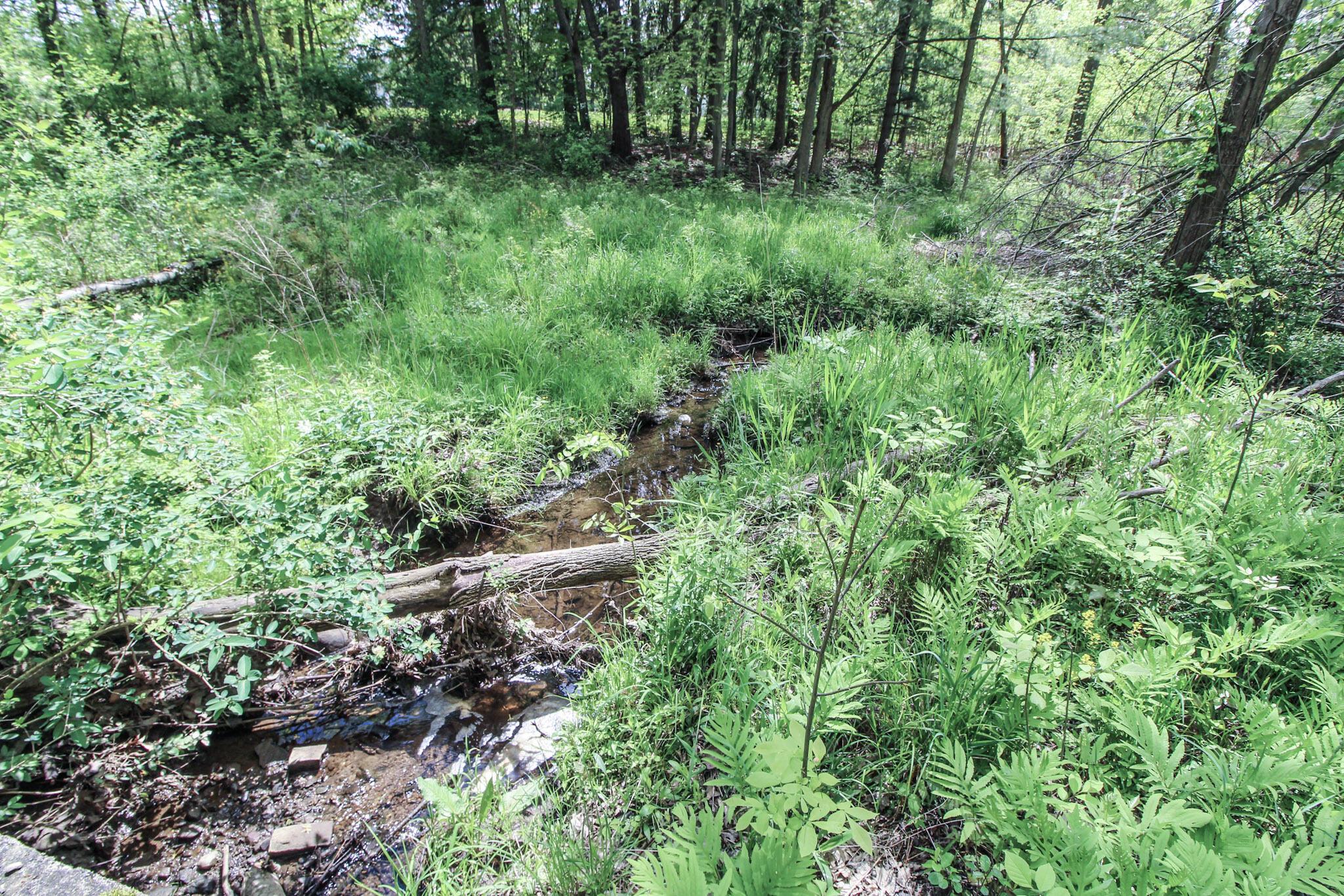 Norton Road, Hudson, Ohio image 24
