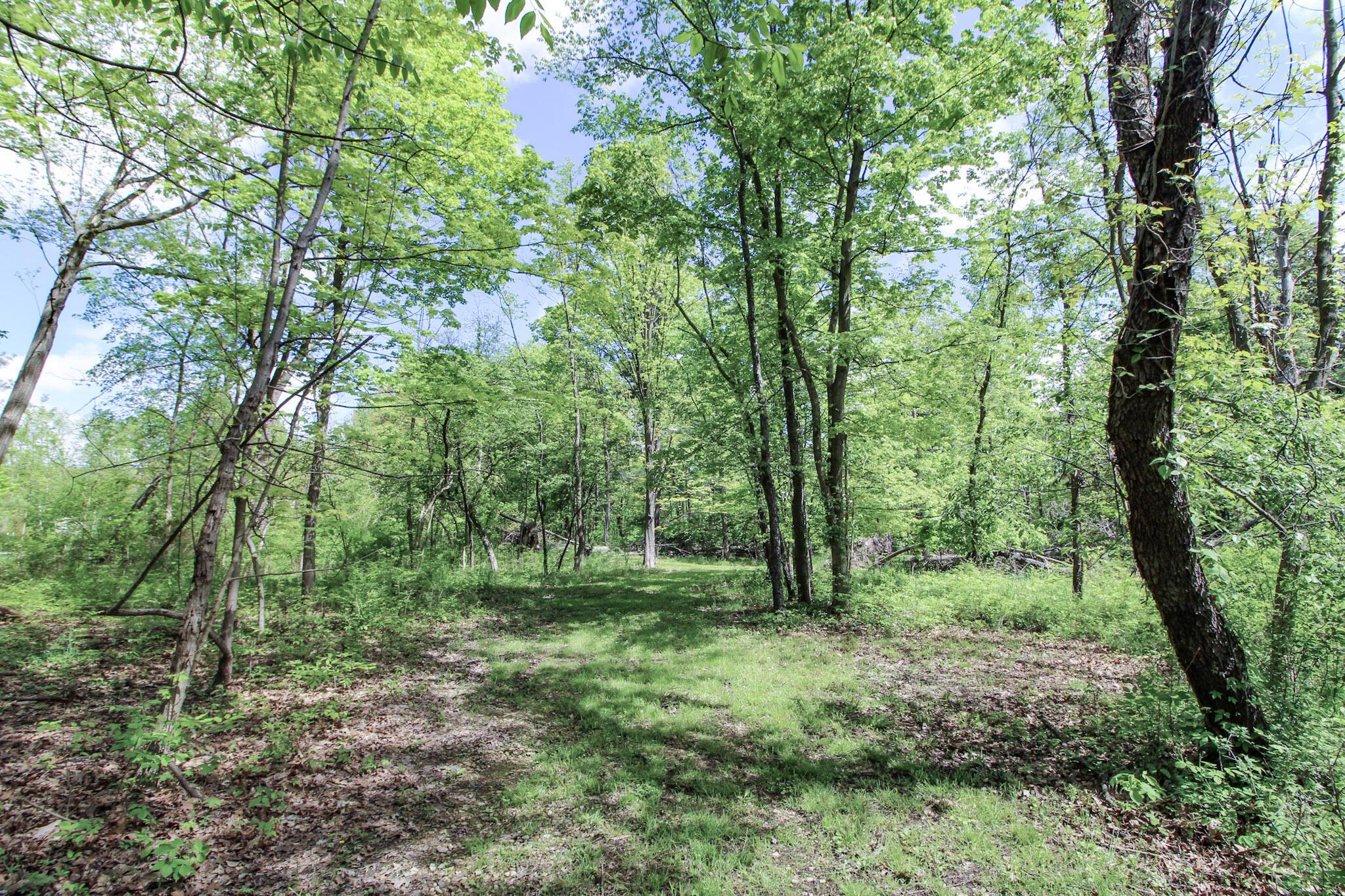 Norton Road, Hudson, Ohio image 6