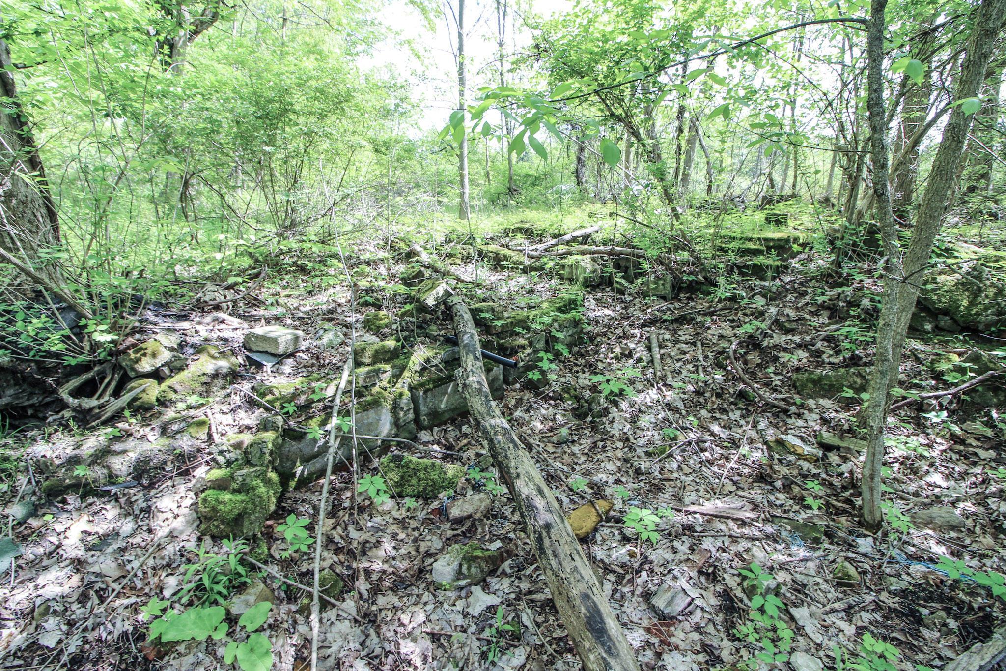 Norton Road, Hudson, Ohio image 23