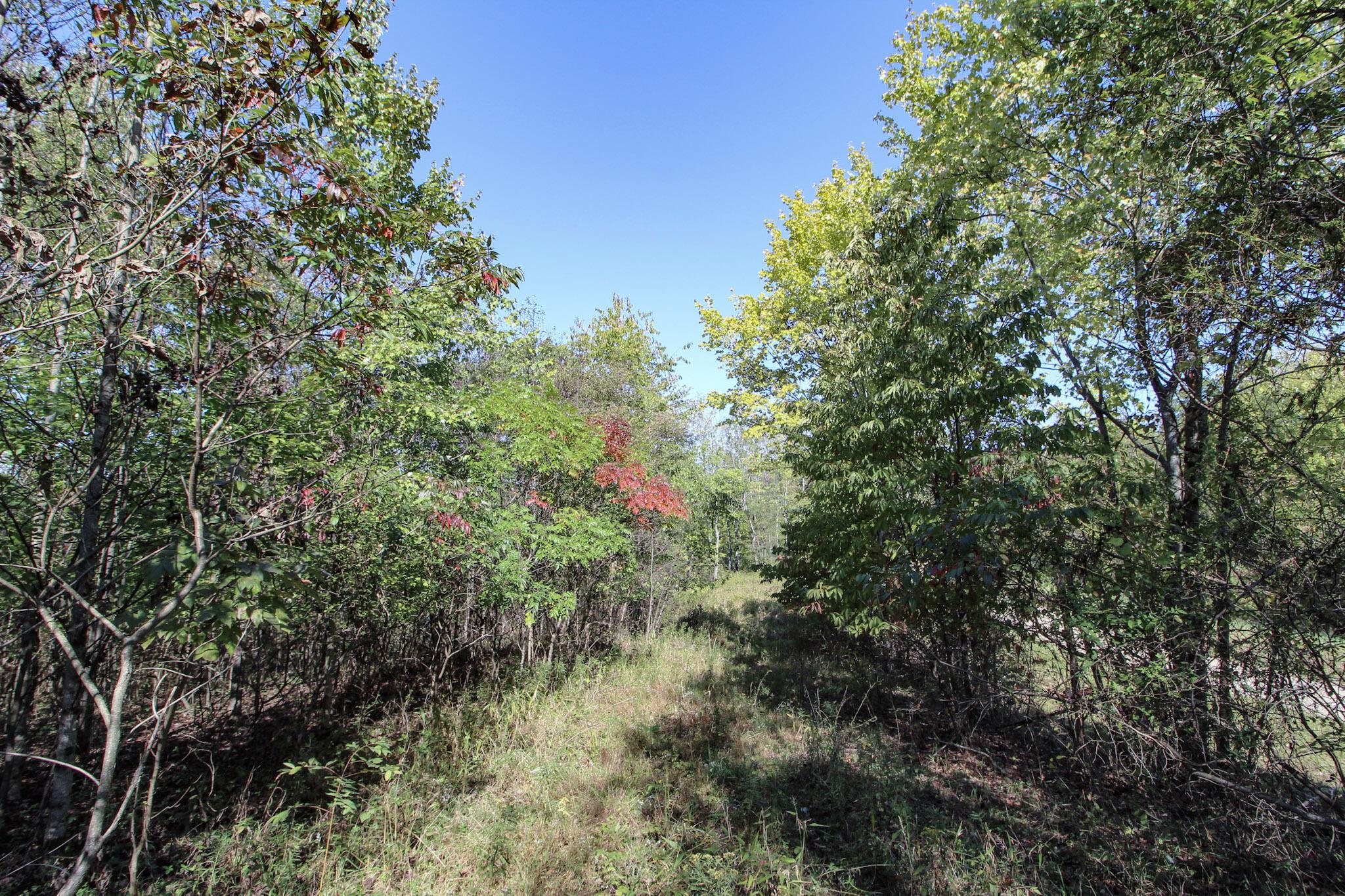 Lot 5 Moss Run Road, Marietta, Ohio image 10