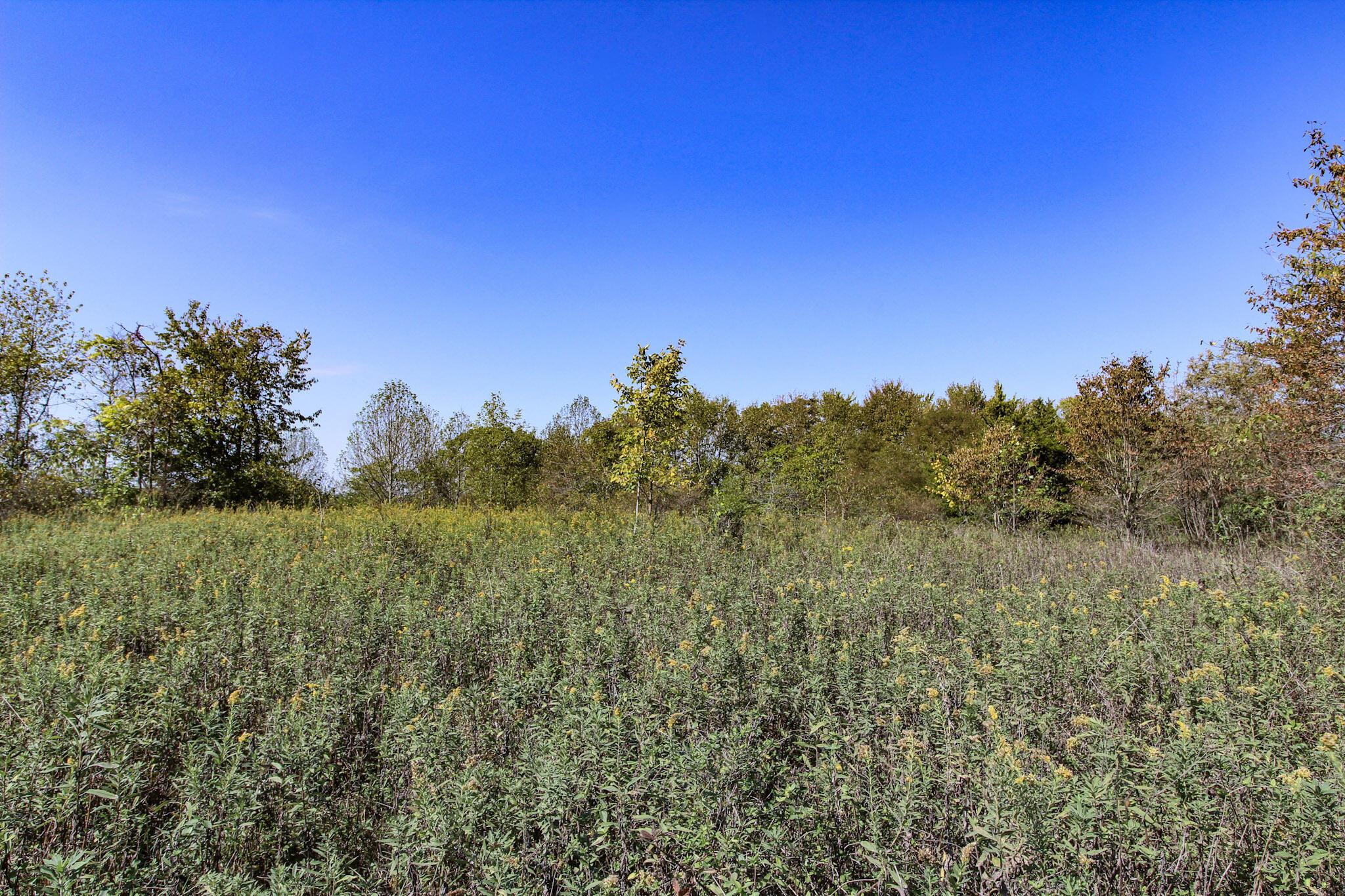 Lot 5 Moss Run Road, Marietta, Ohio image 4