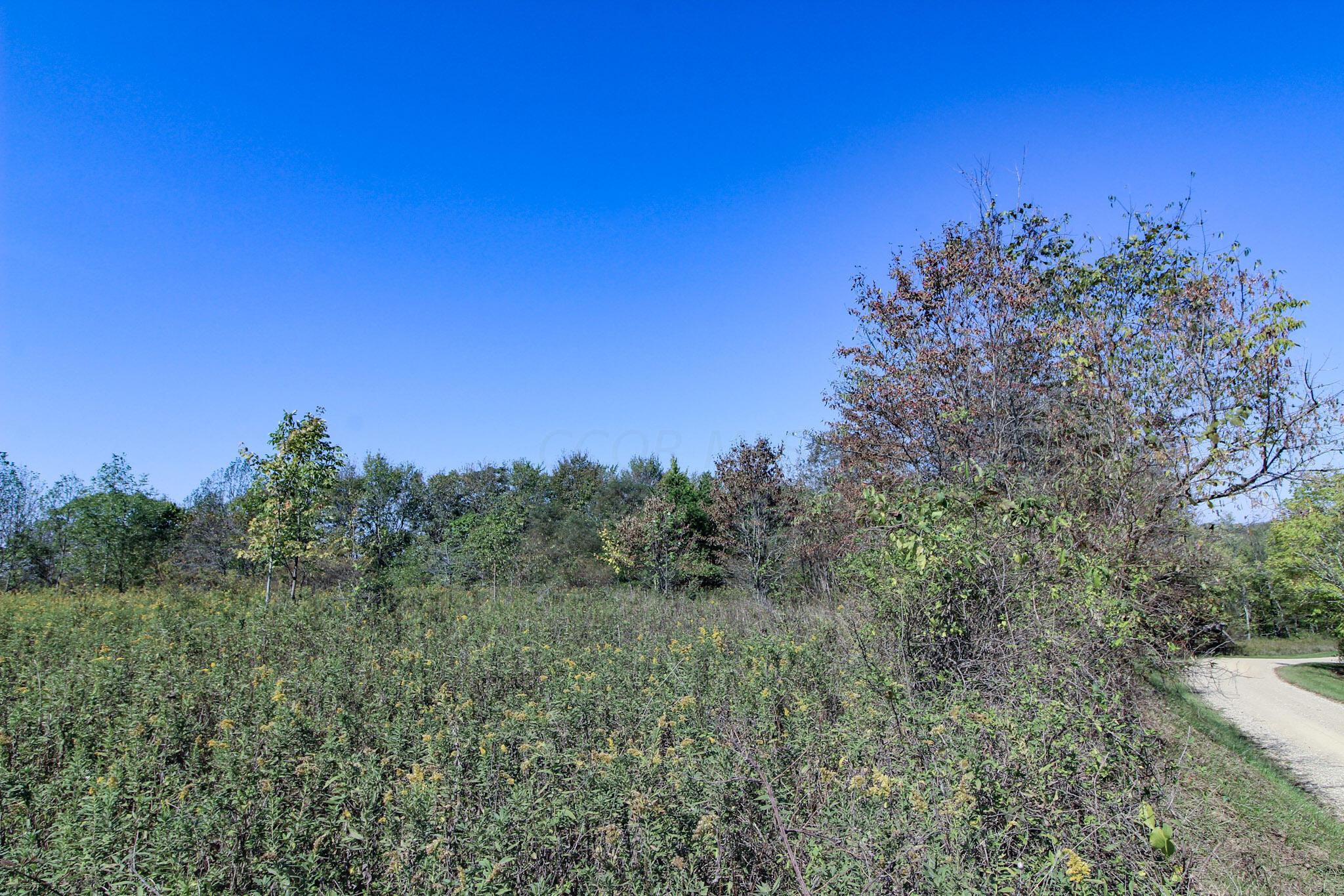 Lot 5 Moss Run Road, Marietta, Ohio image 5