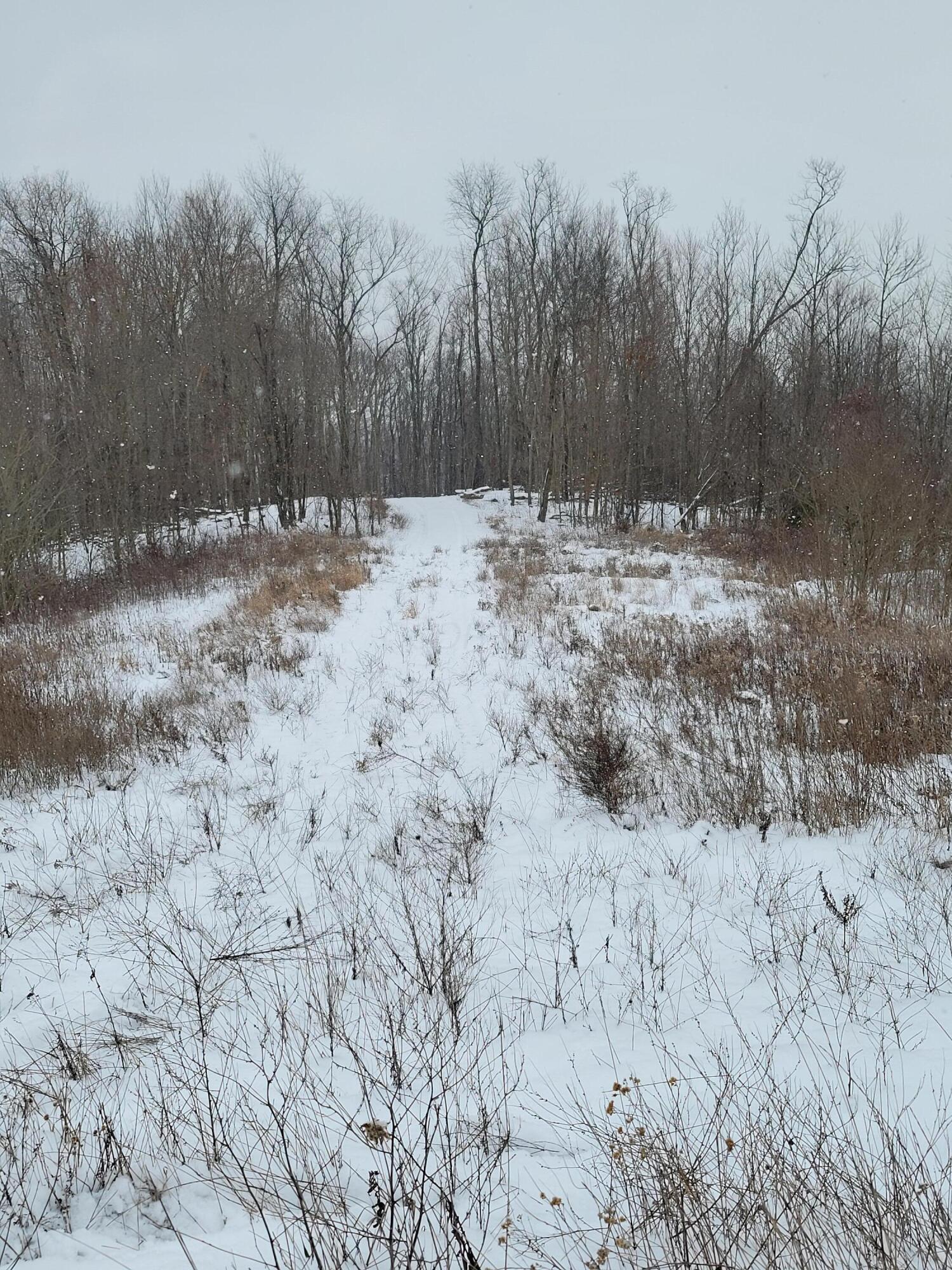 Goosecreek Road, Roseville, Ohio image 11