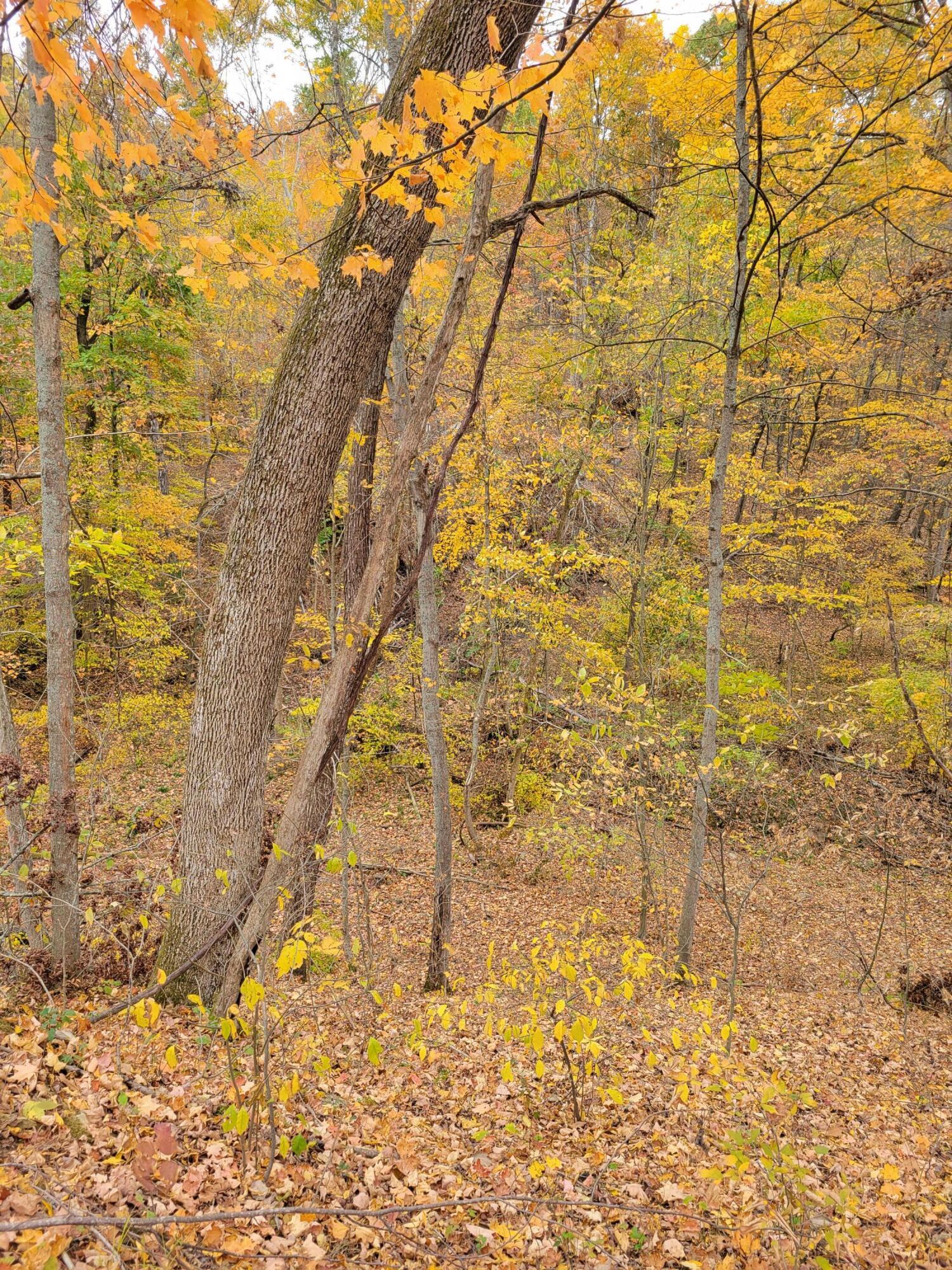 Goosecreek Road, Roseville, Ohio image 9