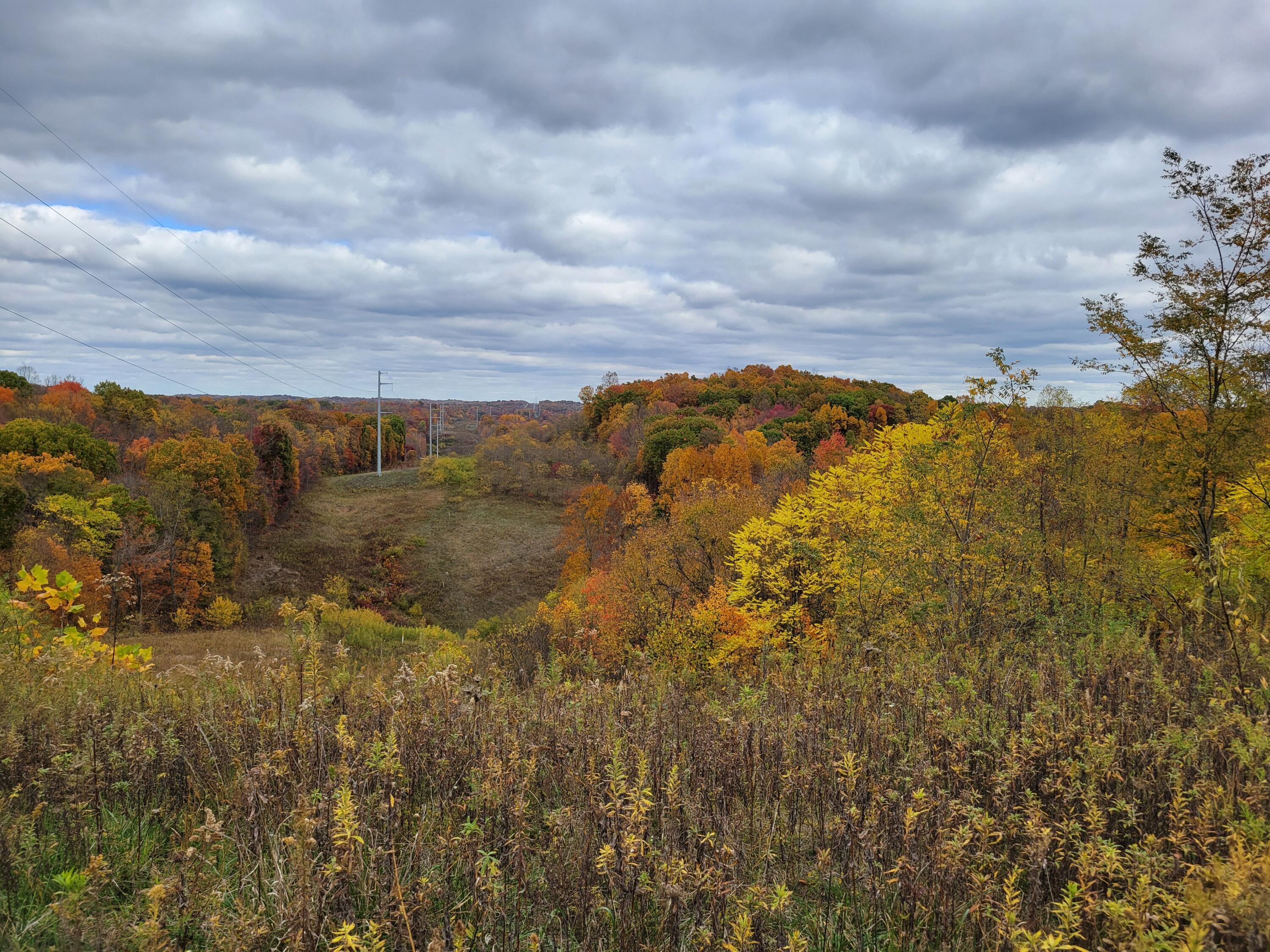 Goosecreek Road, Roseville, Ohio image 3