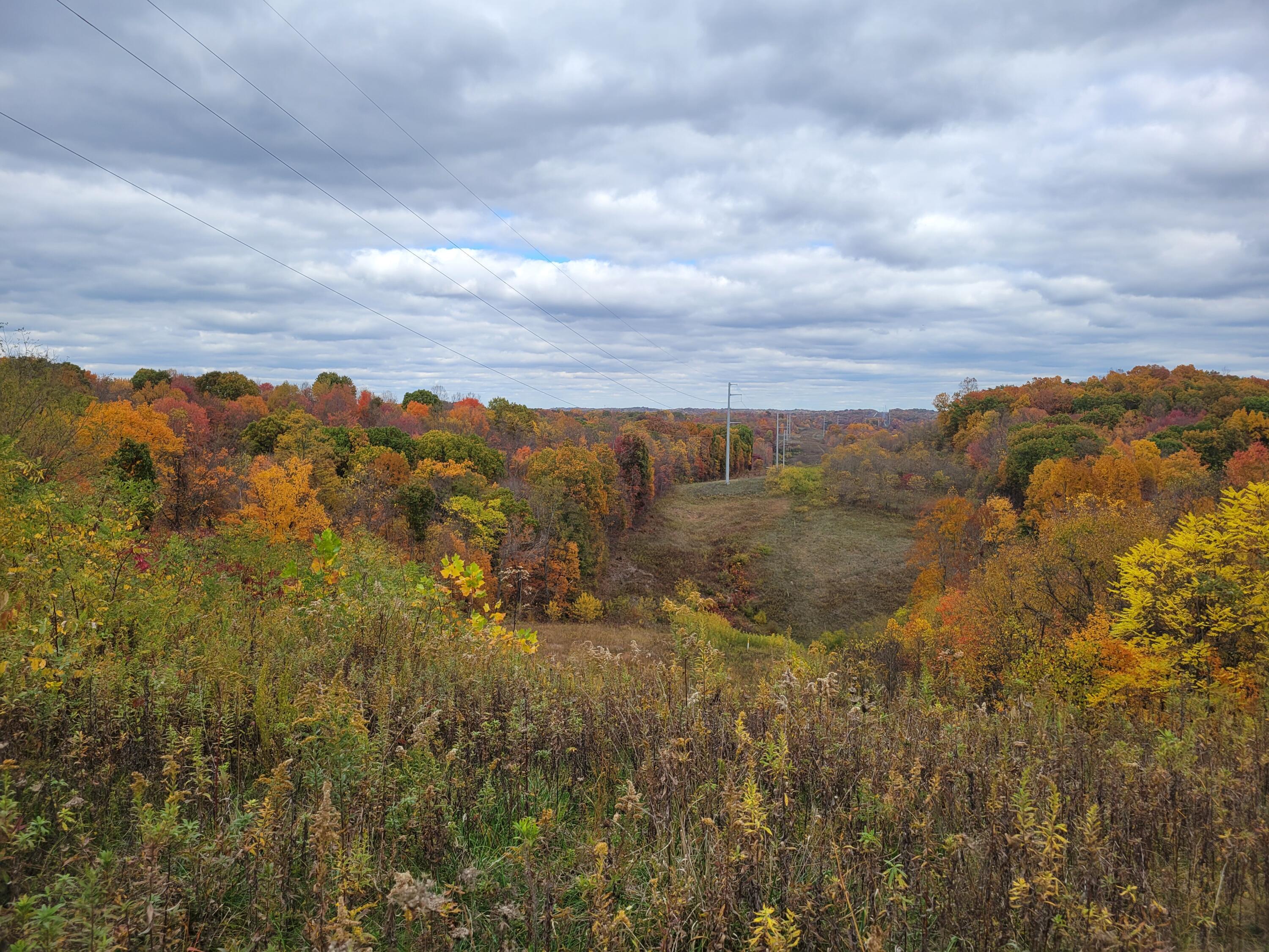 Goosecreek Road, Roseville, Ohio image 1