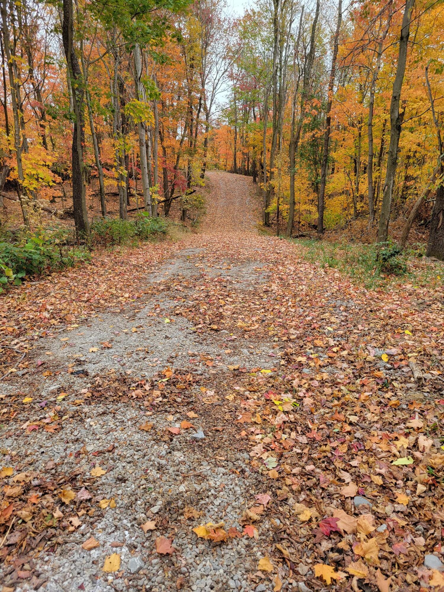 Goosecreek Road, Roseville, Ohio image 6