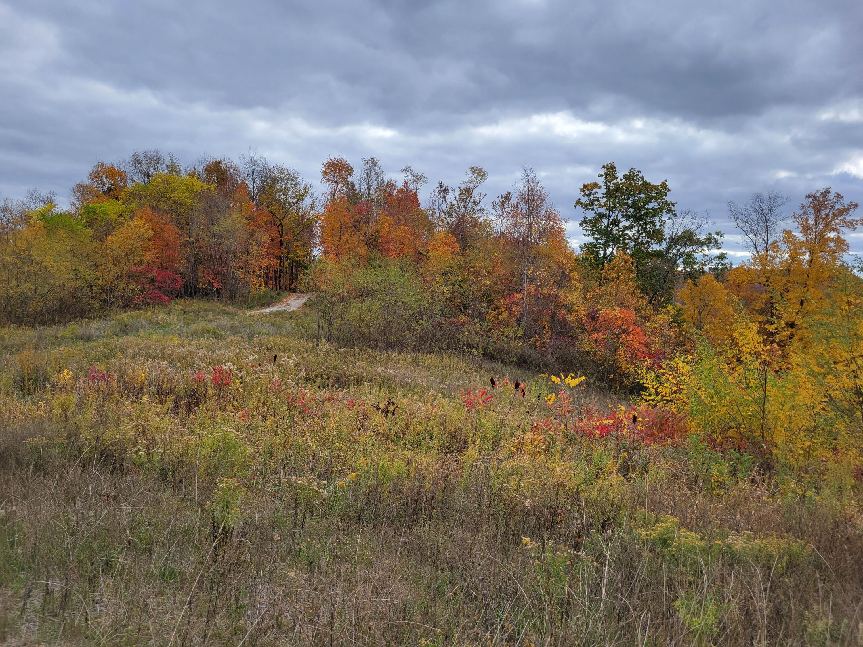 Goosecreek Road, Roseville, Ohio image 4