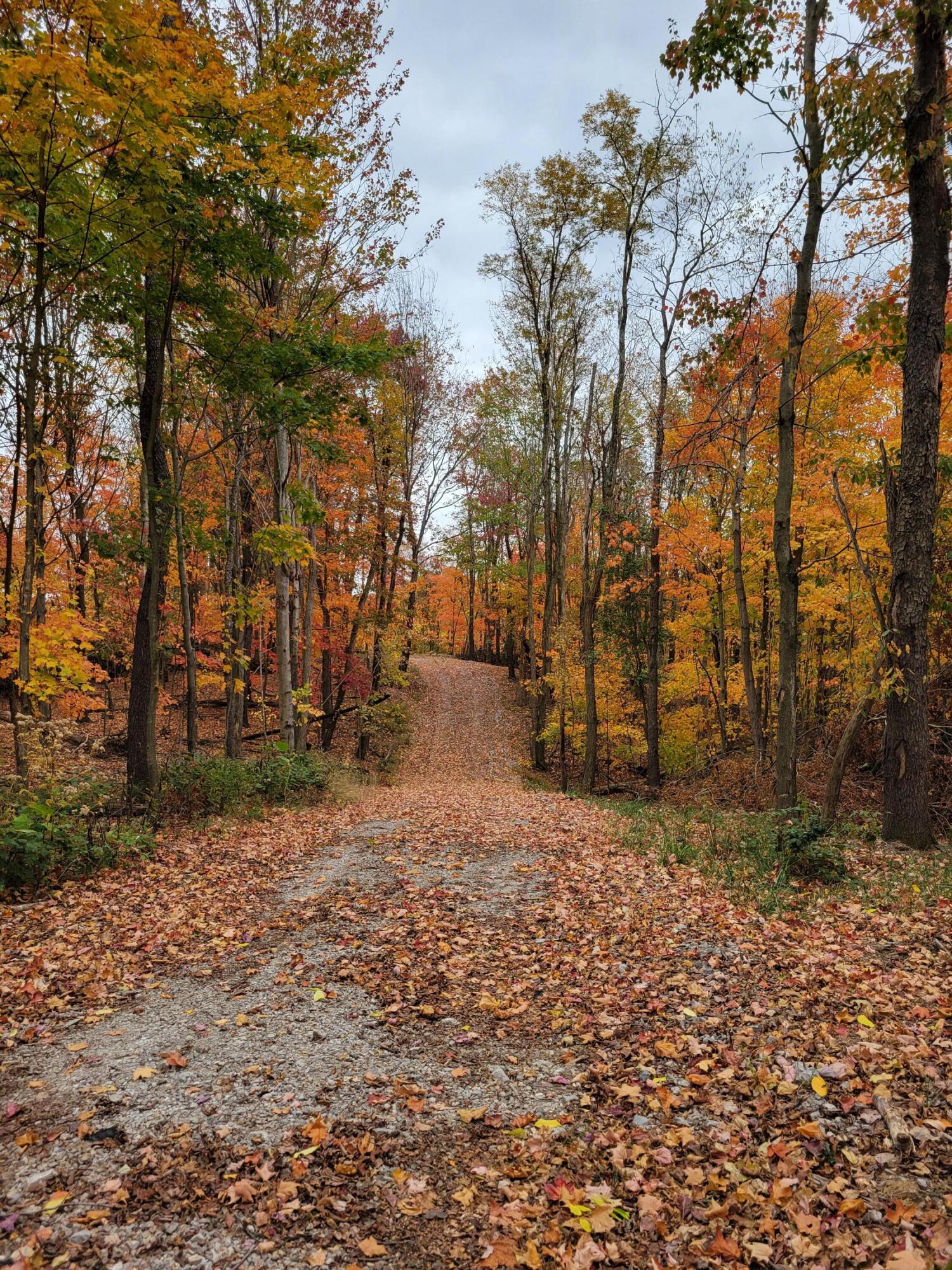 Goosecreek Road, Roseville, Ohio image 2
