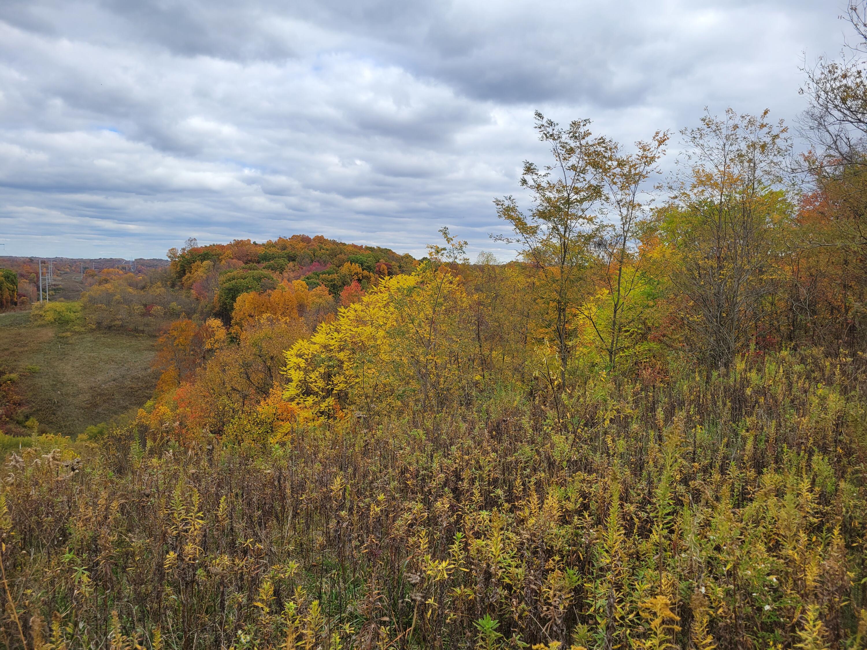 Goosecreek Road, Roseville, Ohio image 10
