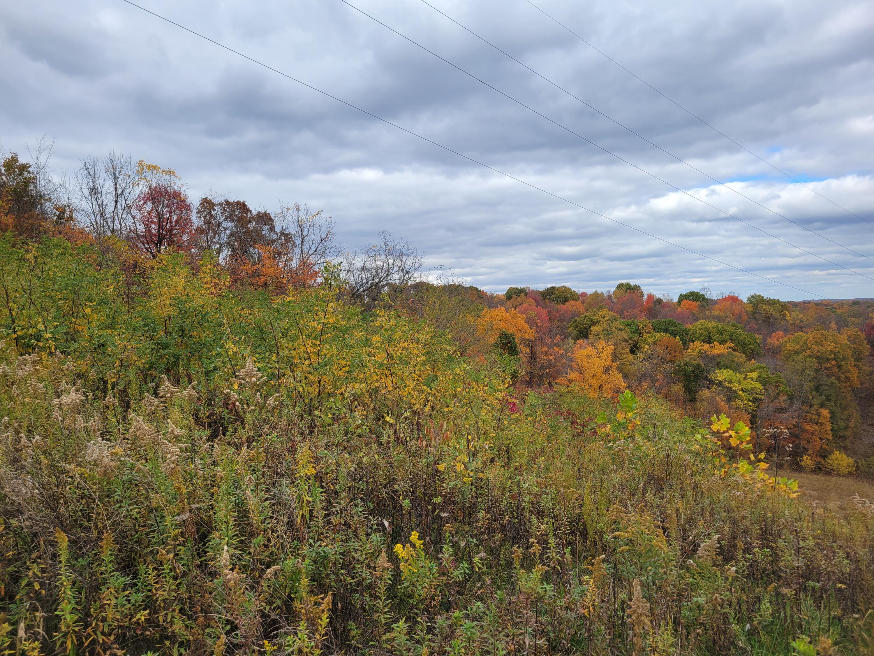 Goosecreek Road, Roseville, Ohio image 5