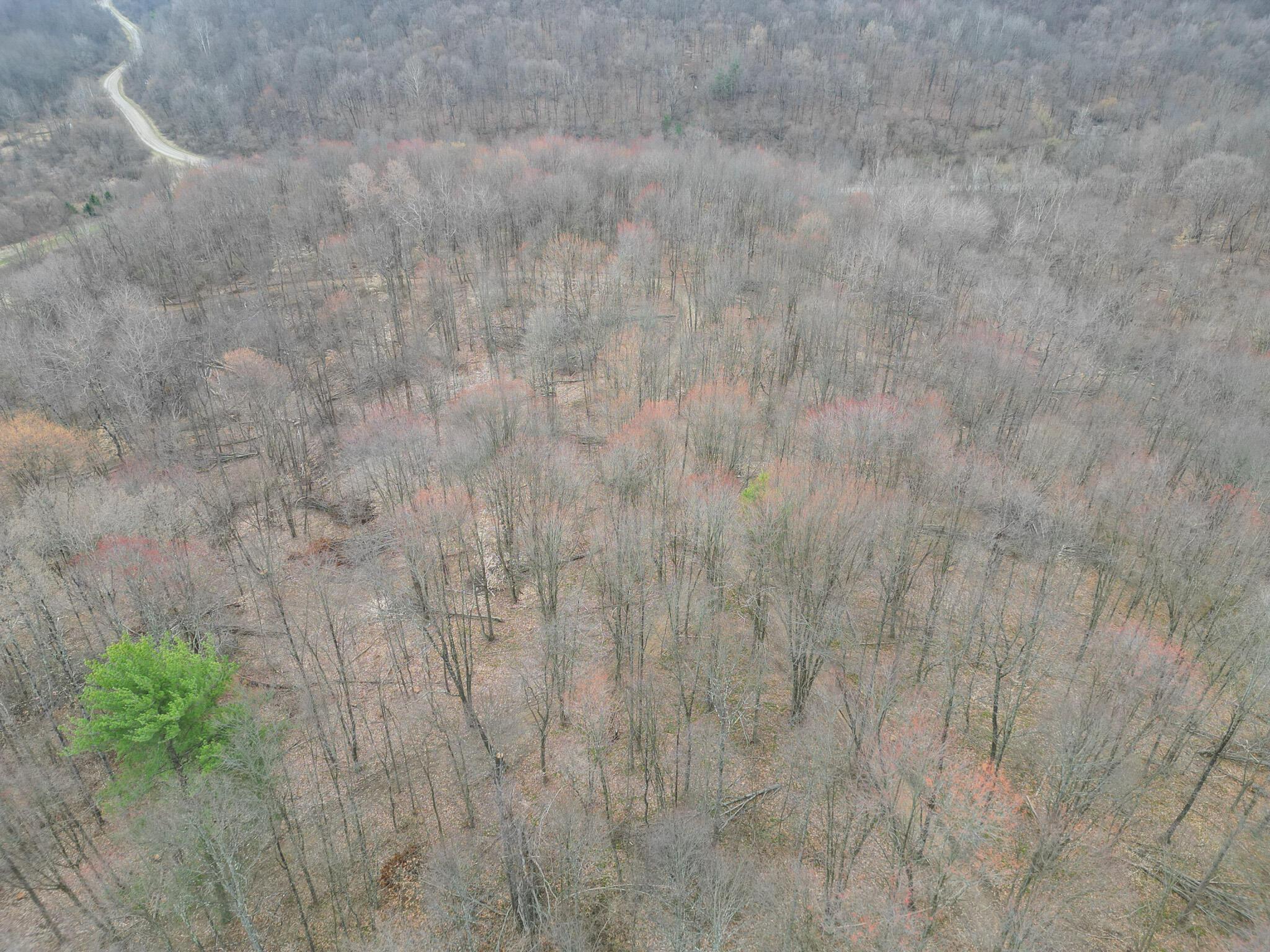 Township Road 329, Corning, Ohio image 9