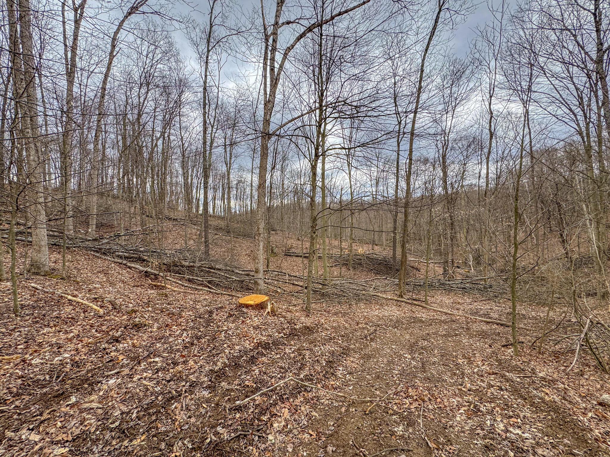 Township Road 329, Corning, Ohio image 33