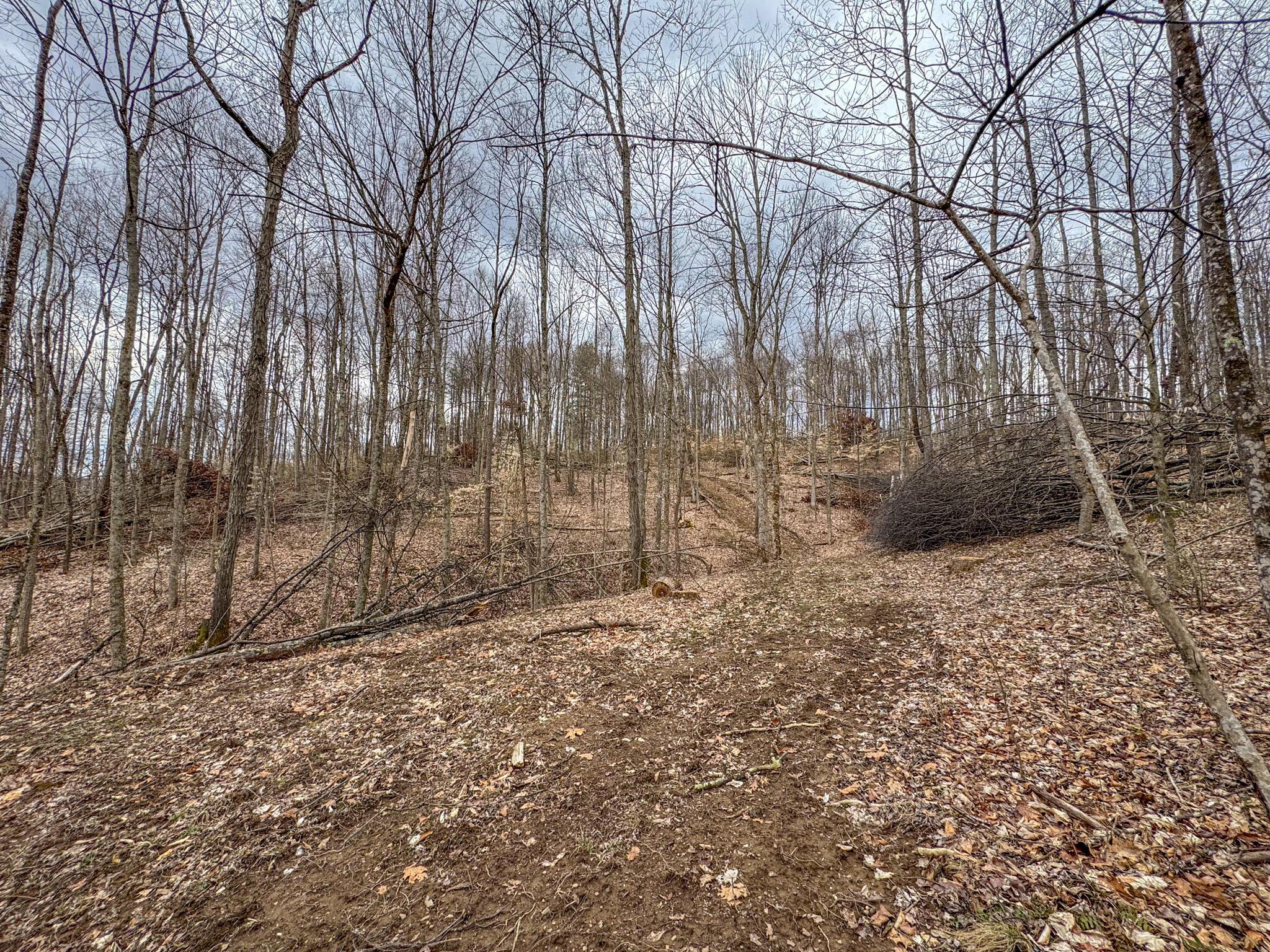 Township Road 329, Corning, Ohio image 40