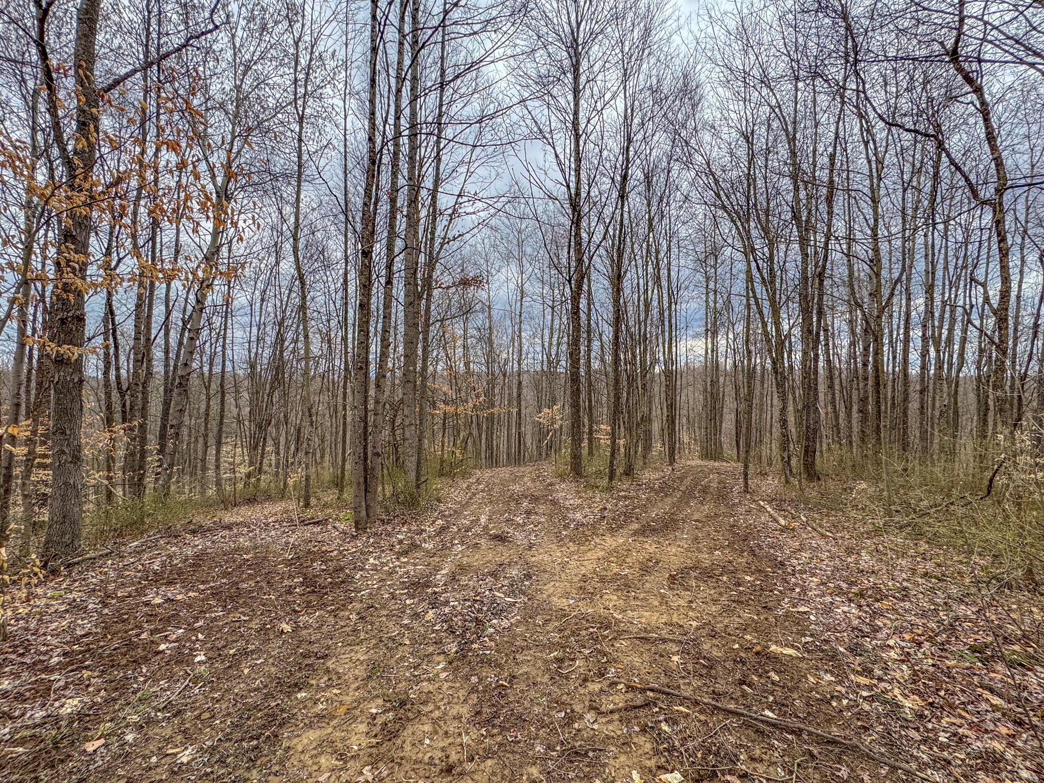 Township Road 329, Corning, Ohio image 37