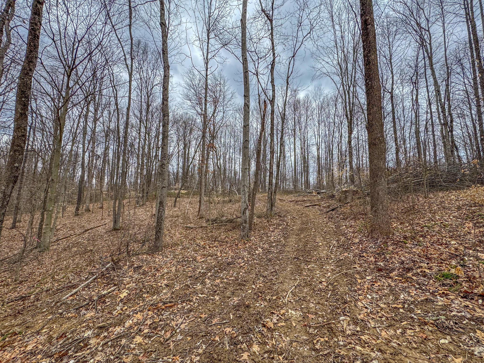 Township Road 329, Corning, Ohio image 36