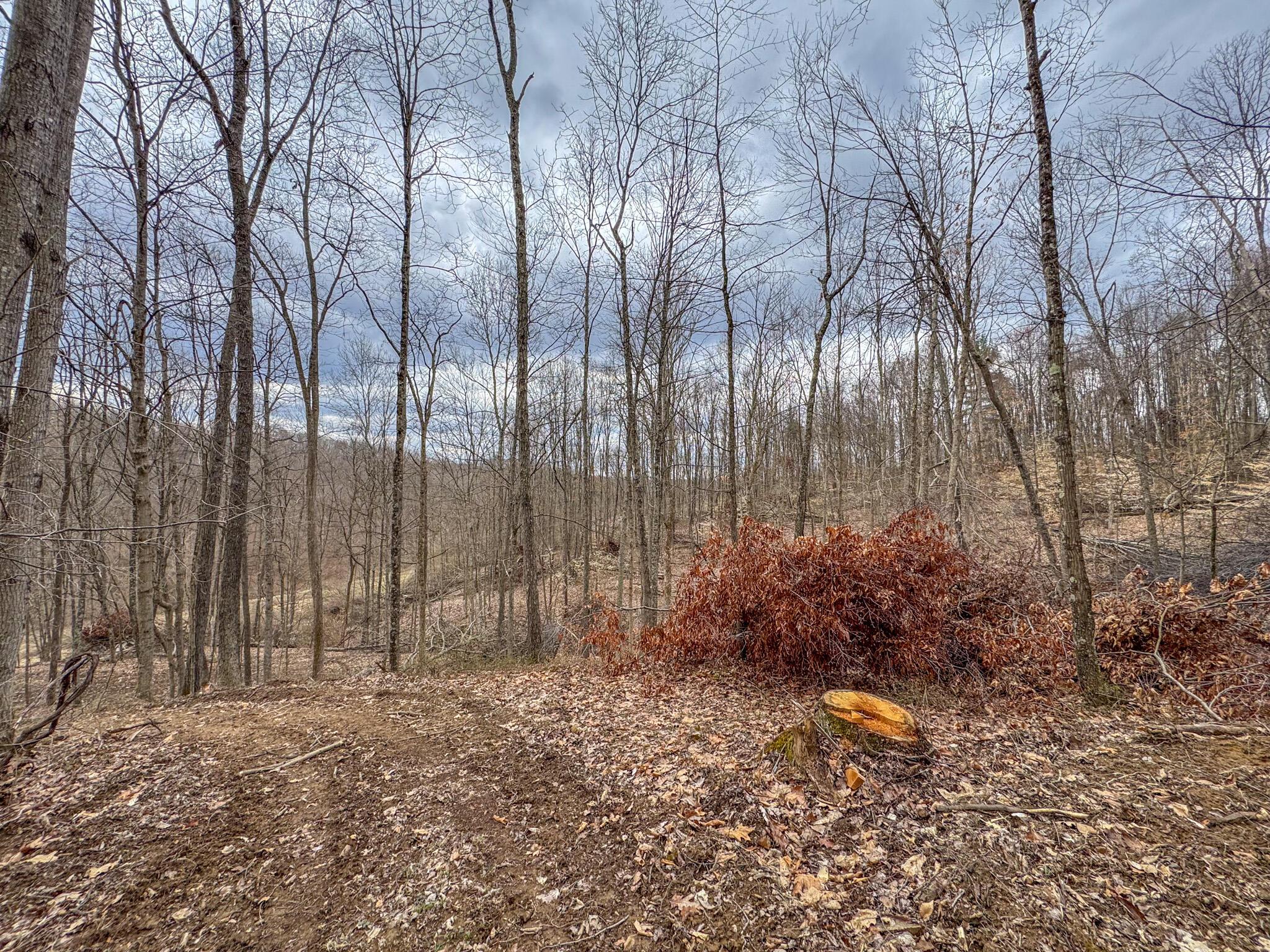 Township Road 329, Corning, Ohio image 38
