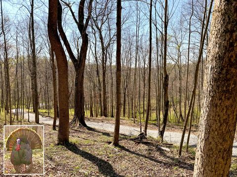 Photo of 0 Little Kyger Road (Little Kyger Tract 3) #(Little Kyger Tract, Cheshire, OH 45620 (MLS # 226014699)