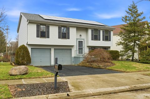 Photo of 3698 Skipstone Place, Columbus, OH 43221 (MLS # 226006326)