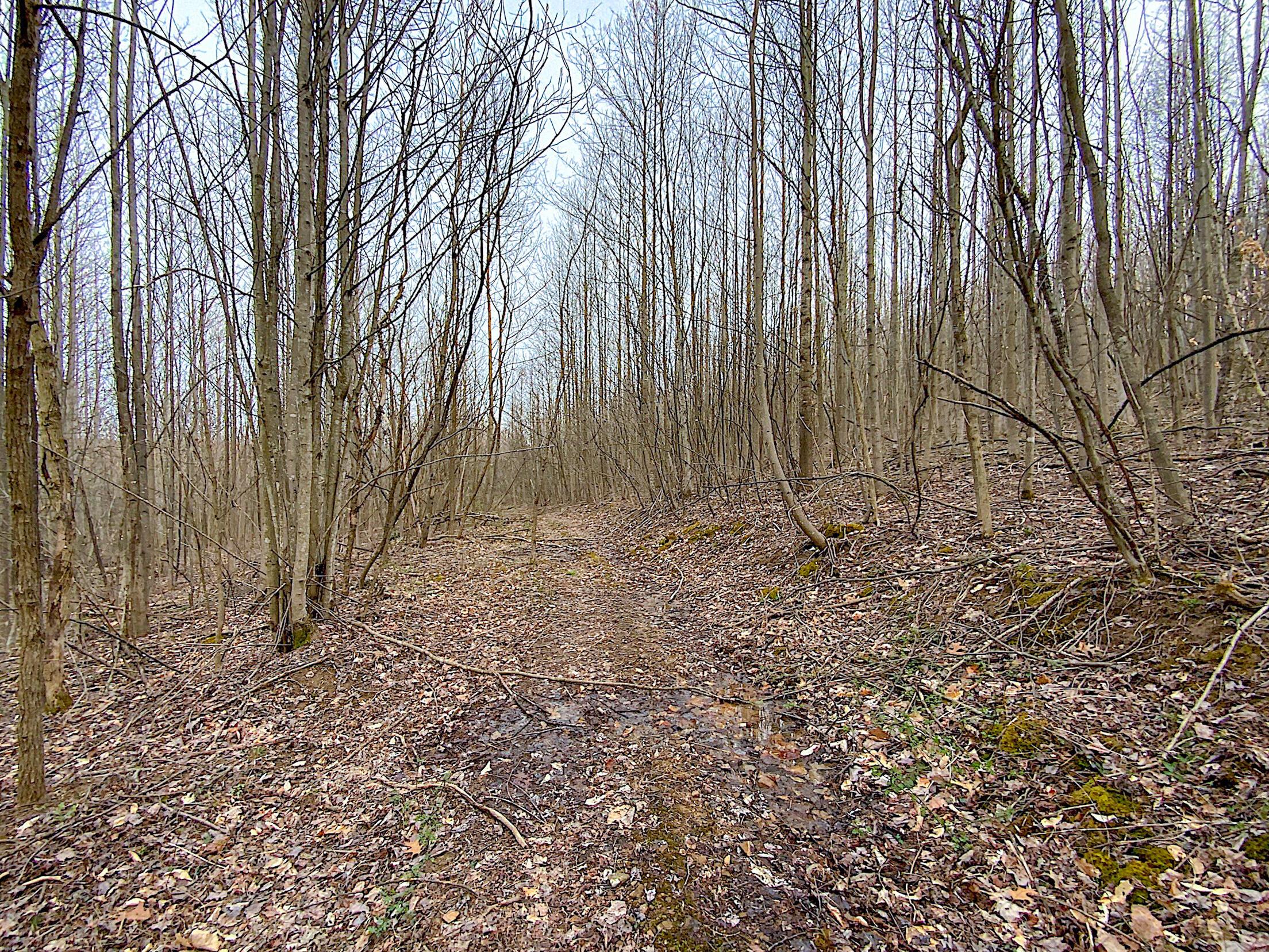 Beavers Ridge Road #1, Peebles, Ohio image 20