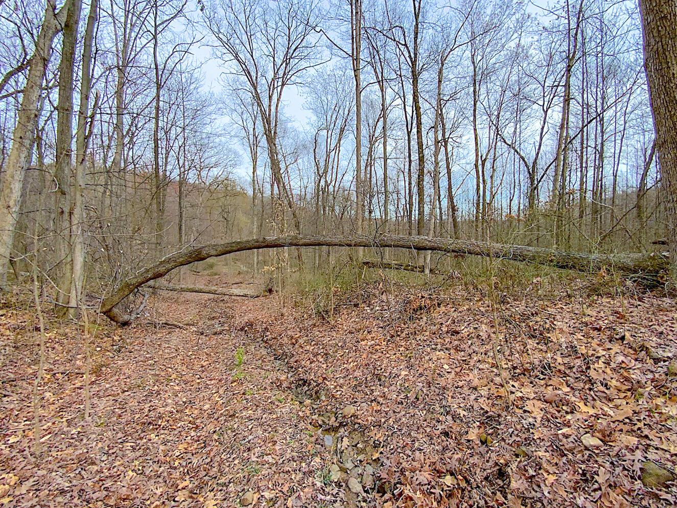 Beavers Ridge Road #1, Peebles, Ohio image 2