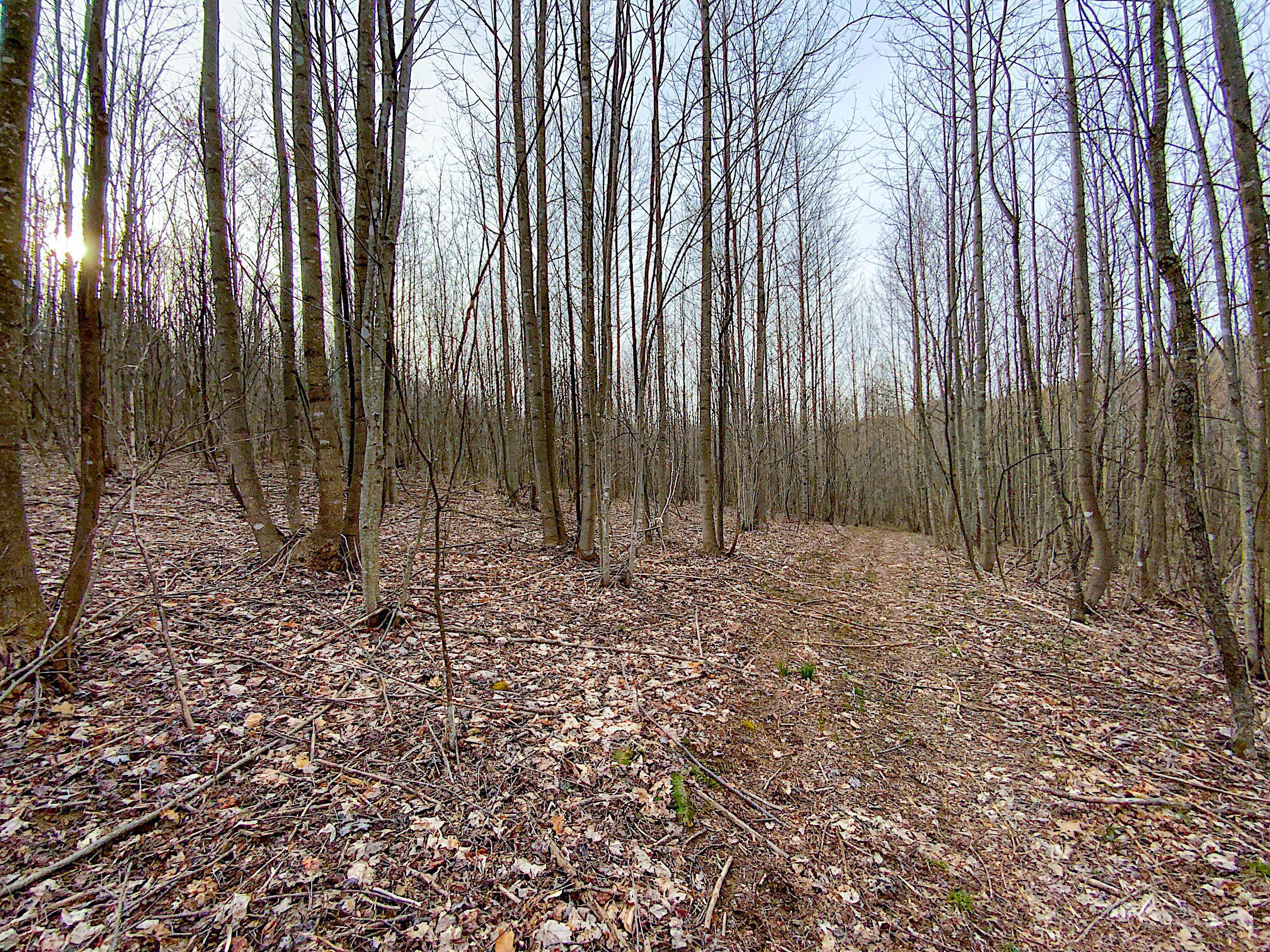 Beavers Ridge Road #1, Peebles, Ohio image 11