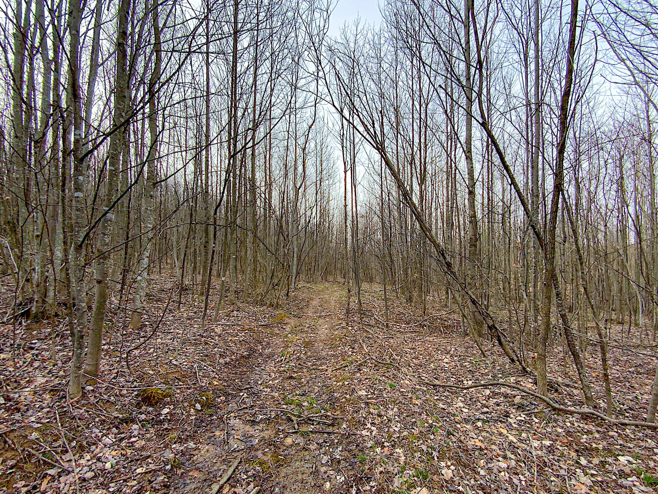 Beavers Ridge Road #1, Peebles, Ohio image 16