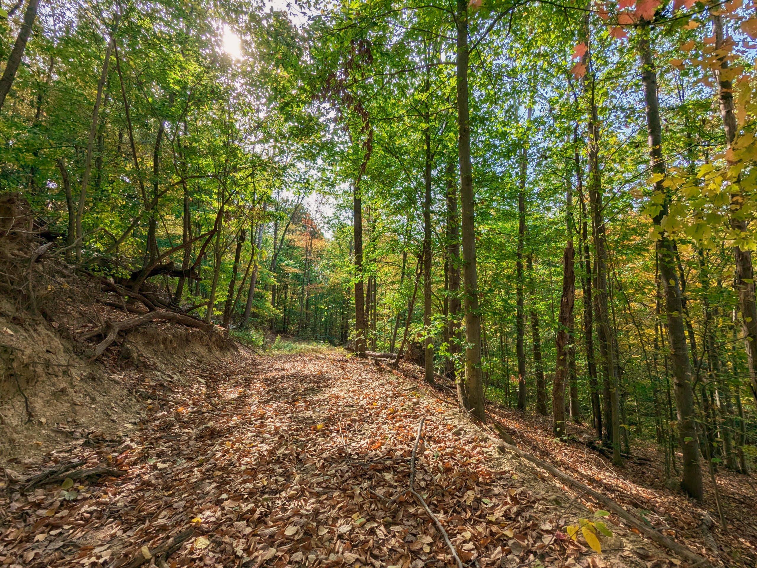 6080 W Sharps Ridge Road, Mcconnelsville, Ohio image 40