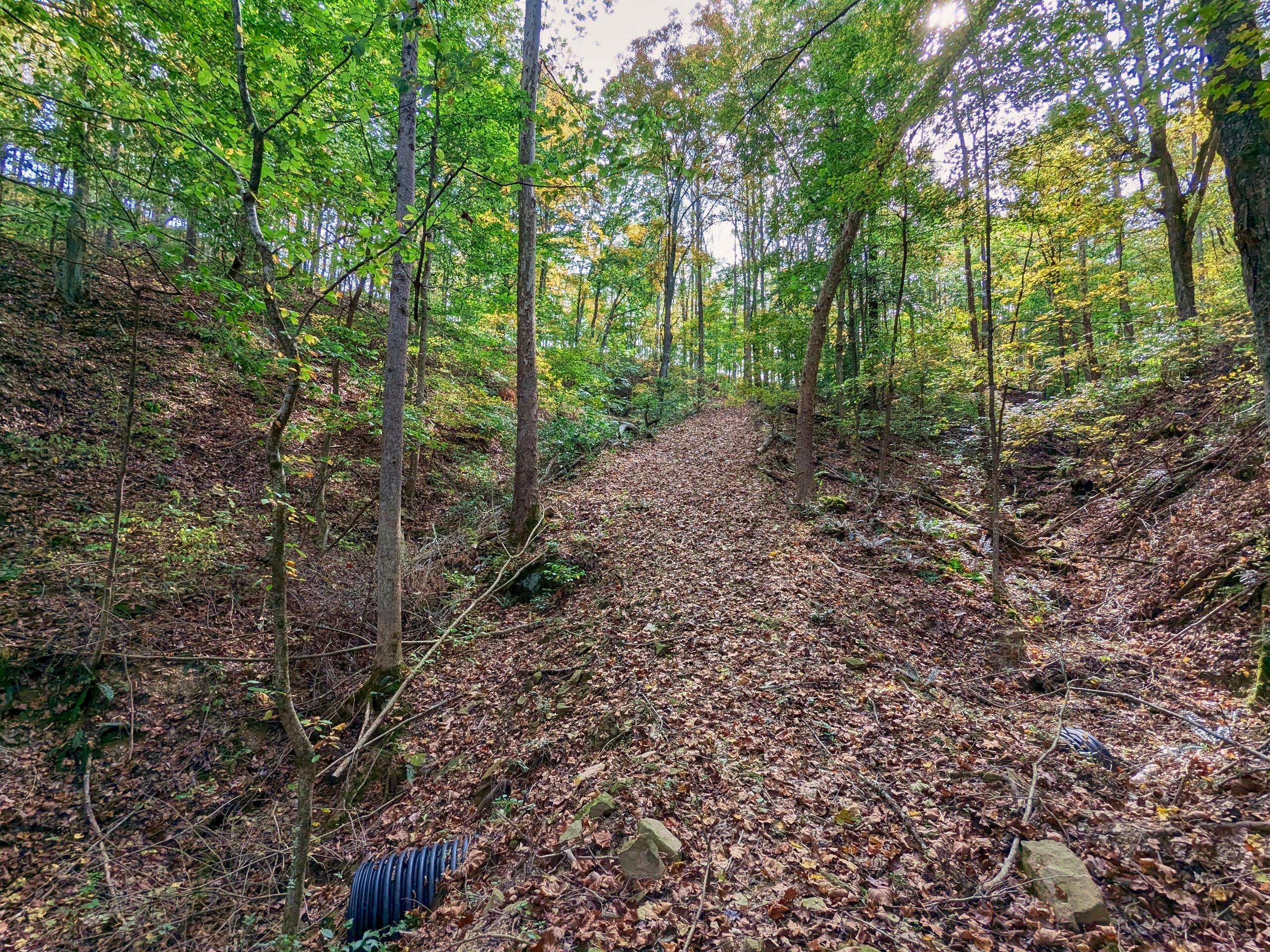 6080 W Sharps Ridge Road, Mcconnelsville, Ohio image 34