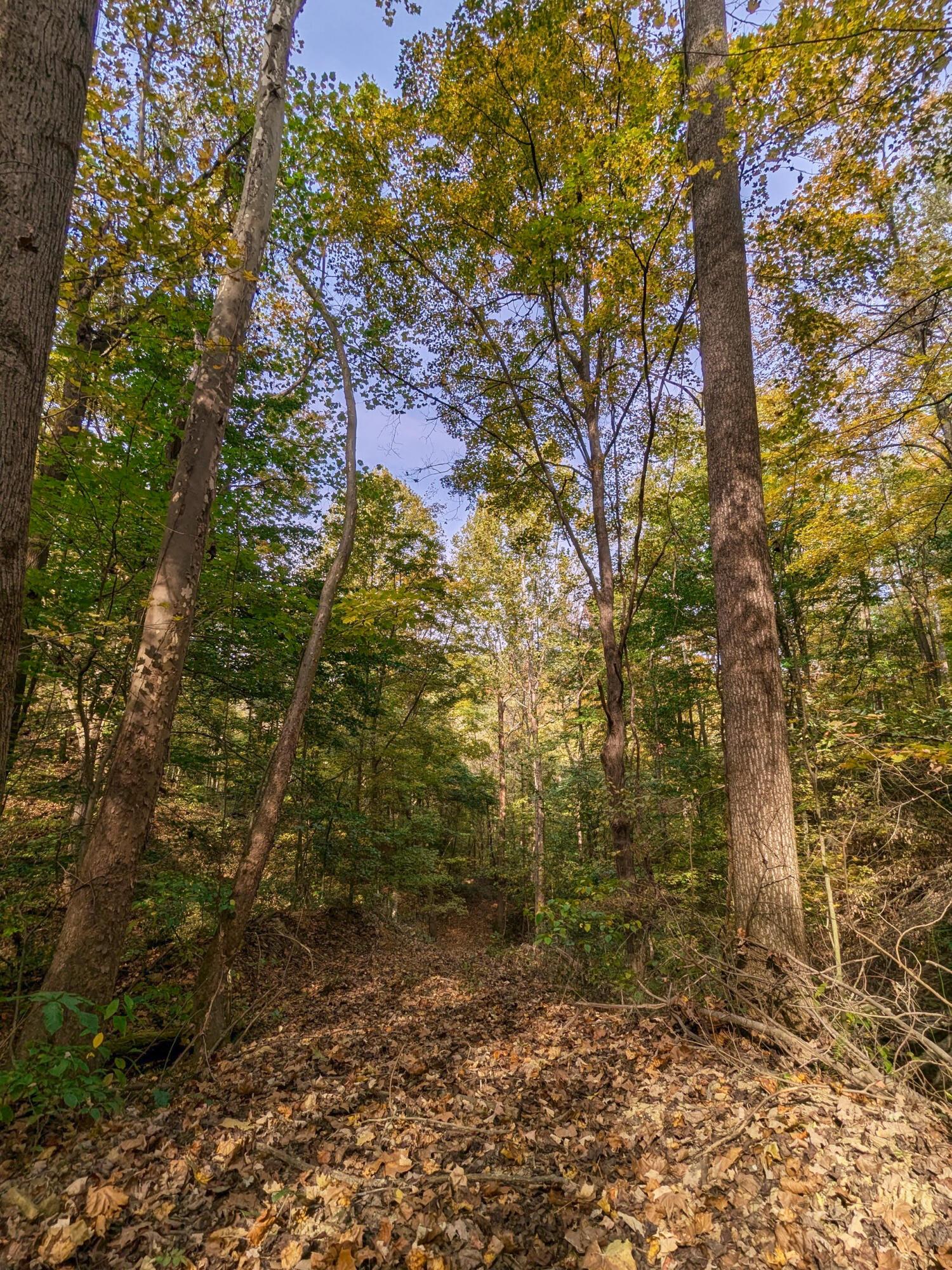 6080 W Sharps Ridge Road, Mcconnelsville, Ohio image 32