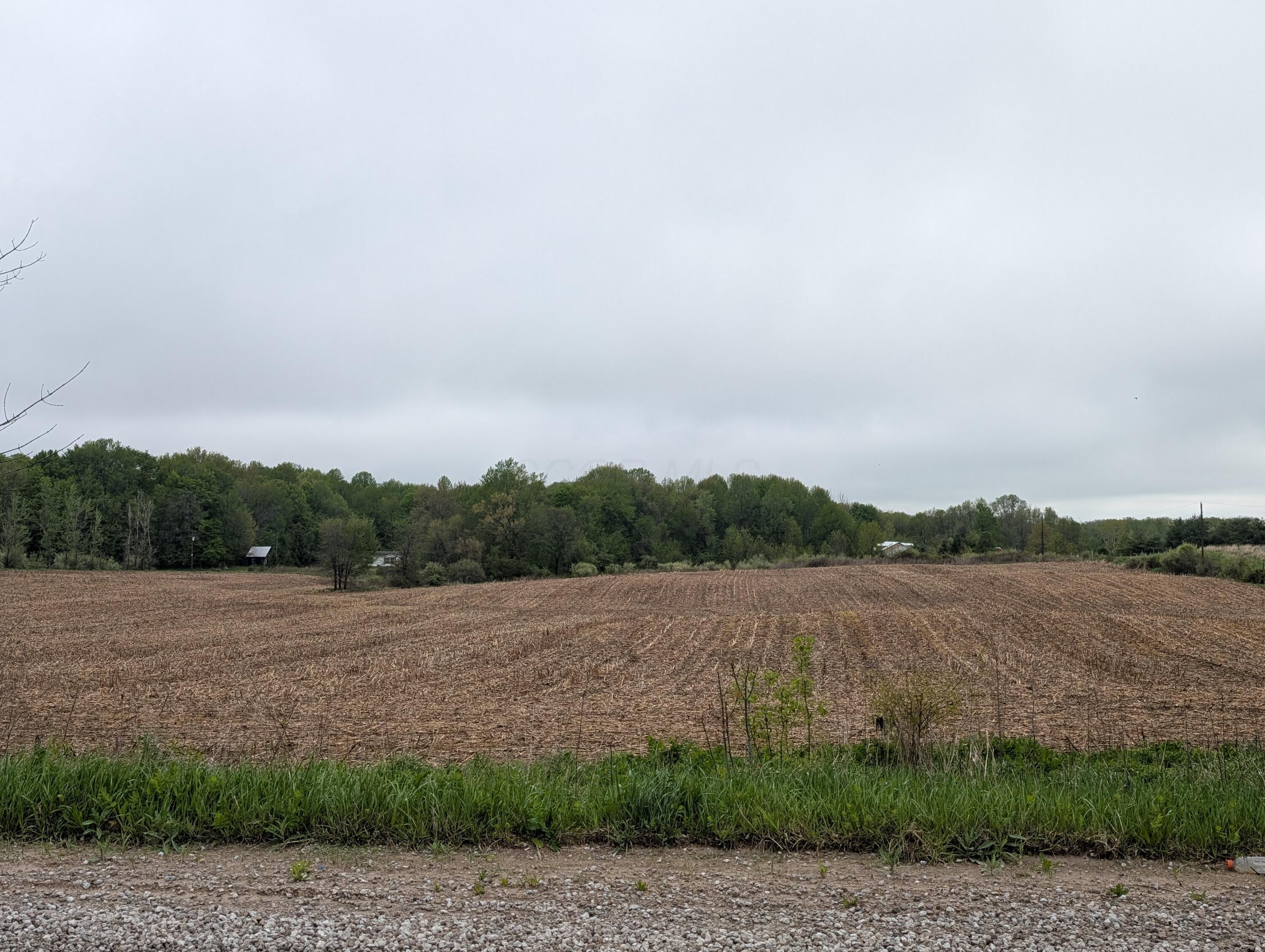 County Road 121 #TRACT 11, Mount Gilead, Ohio image 3