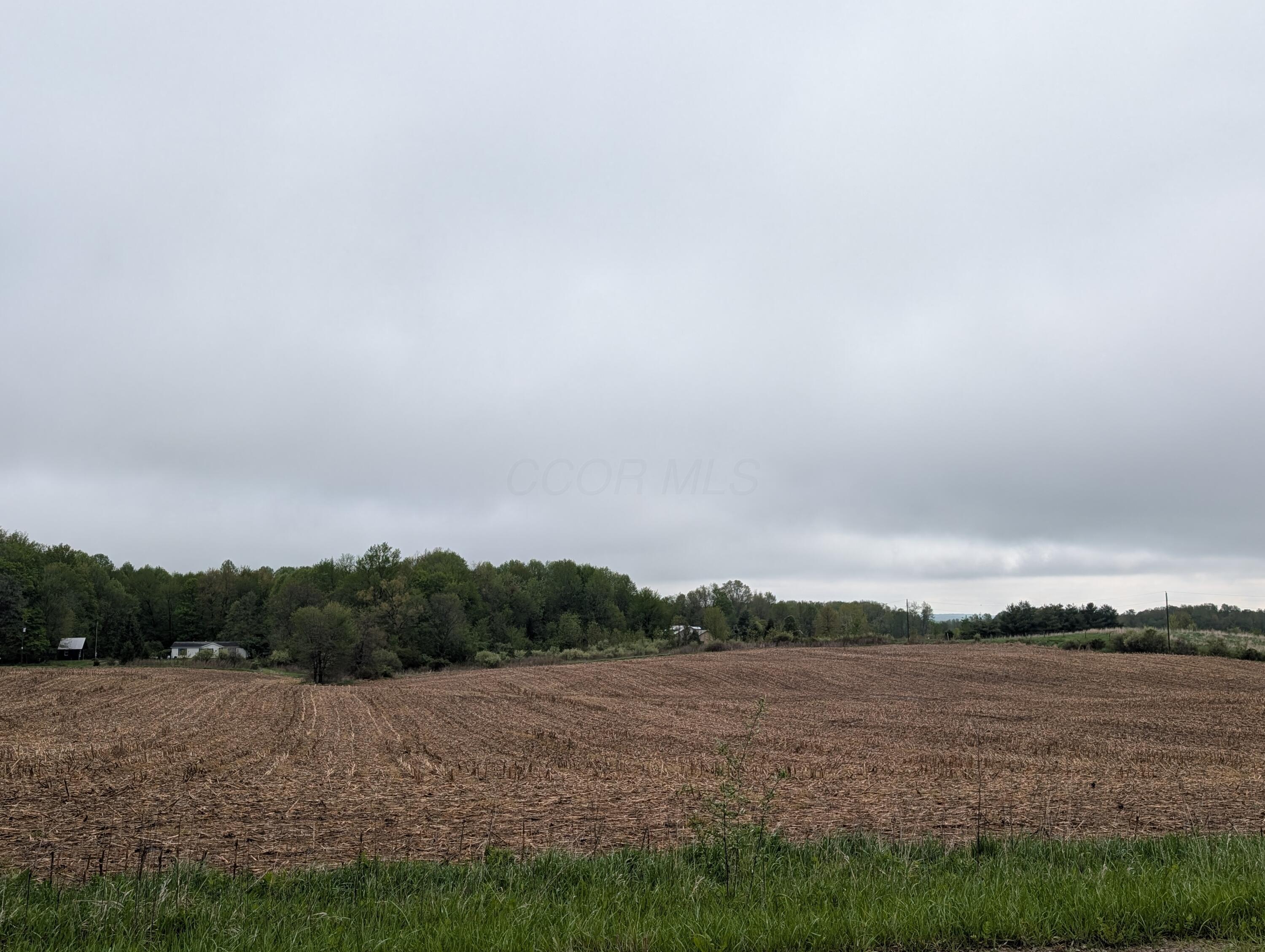 County Road 121 #TRACT 11, Mount Gilead, Ohio image 1