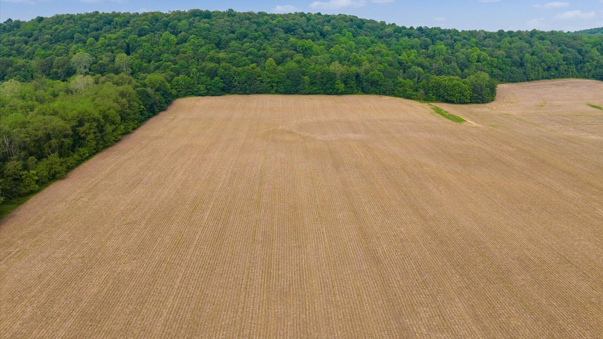 Mt Vernon Road, Newark, Ohio image 17