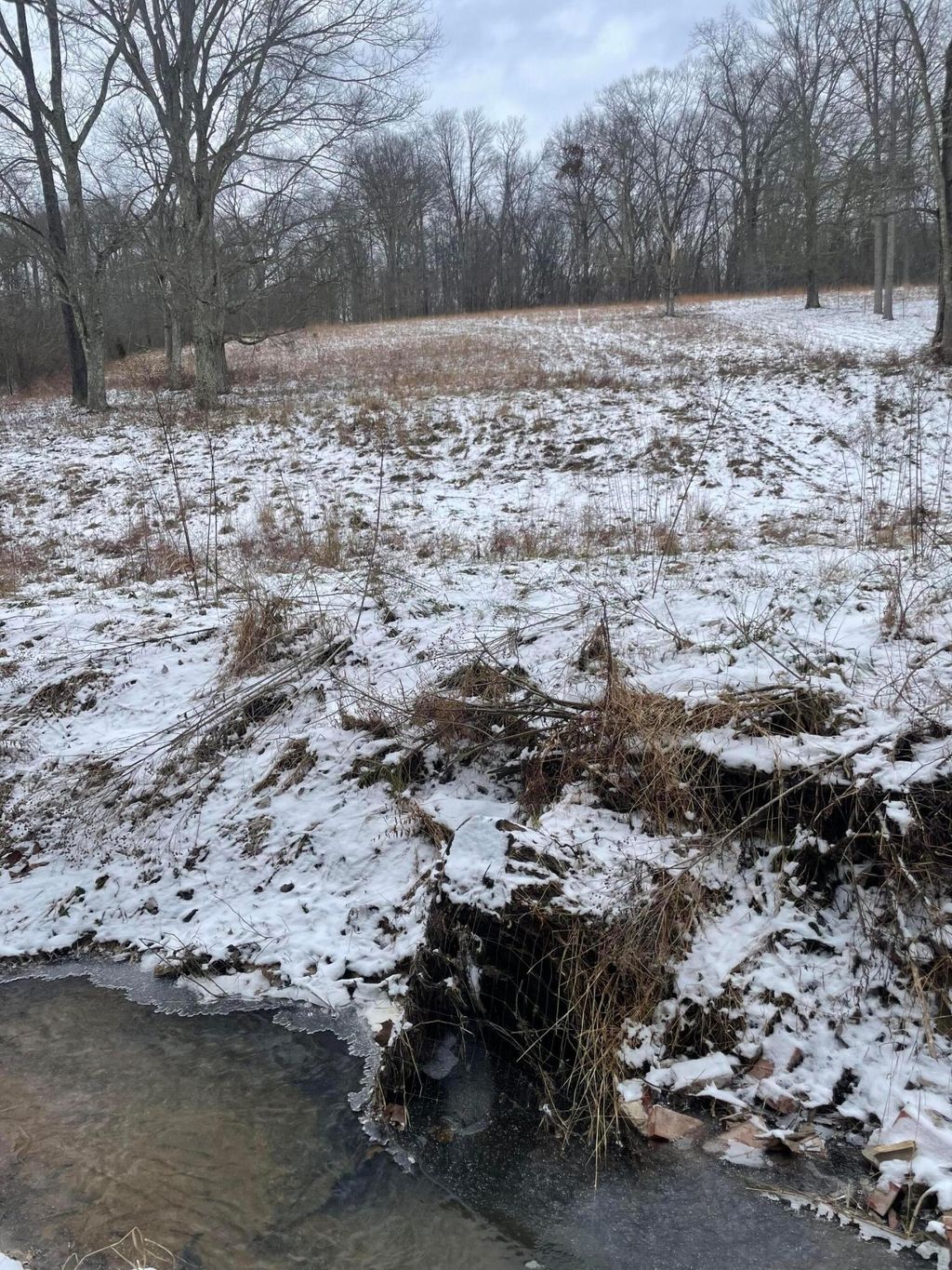 Photo of 15860 Stump Run, Laurelville, OH 43135 (MLS # 226002197)