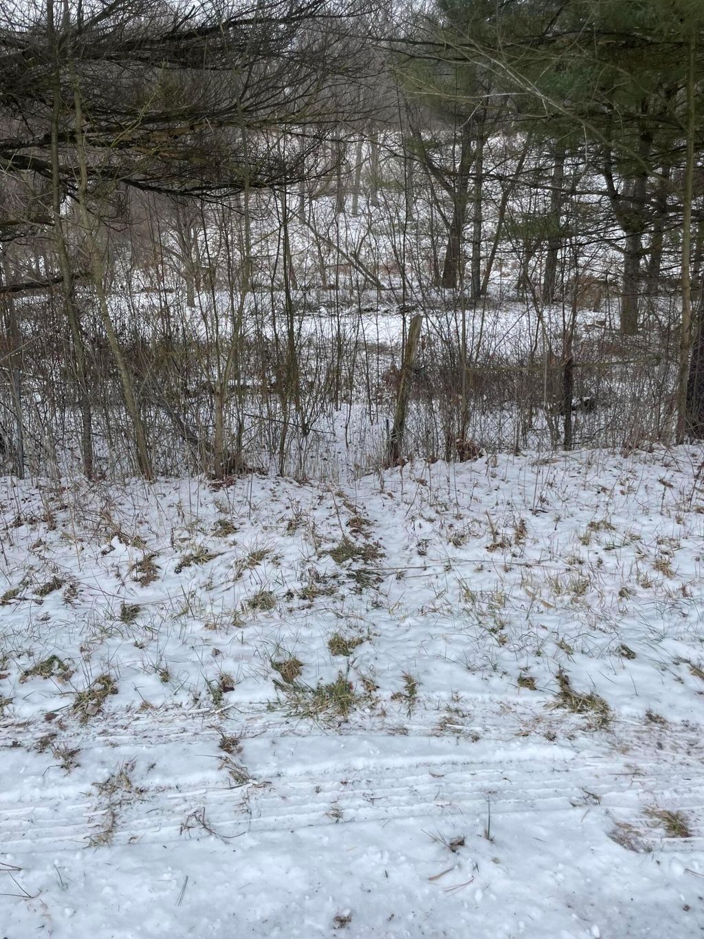 Photo of 15860 Stump Run, Laurelville, OH 43135 (MLS # 226002197)